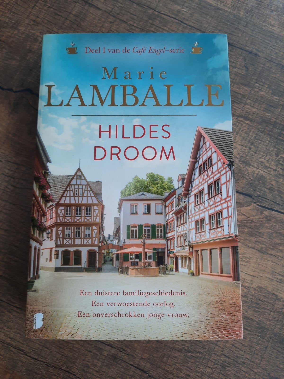 Marie Lamballe - Hildes droom, Ophalen of Verzenden, Zo goed als nieuw, Marie Lamballe