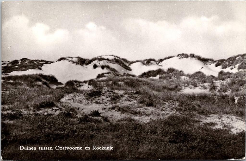 Tussen Oostvoorne en Rockanje - Duinen, Verzenden, 1960 tot 1980, Gelopen, Zuid-Holland