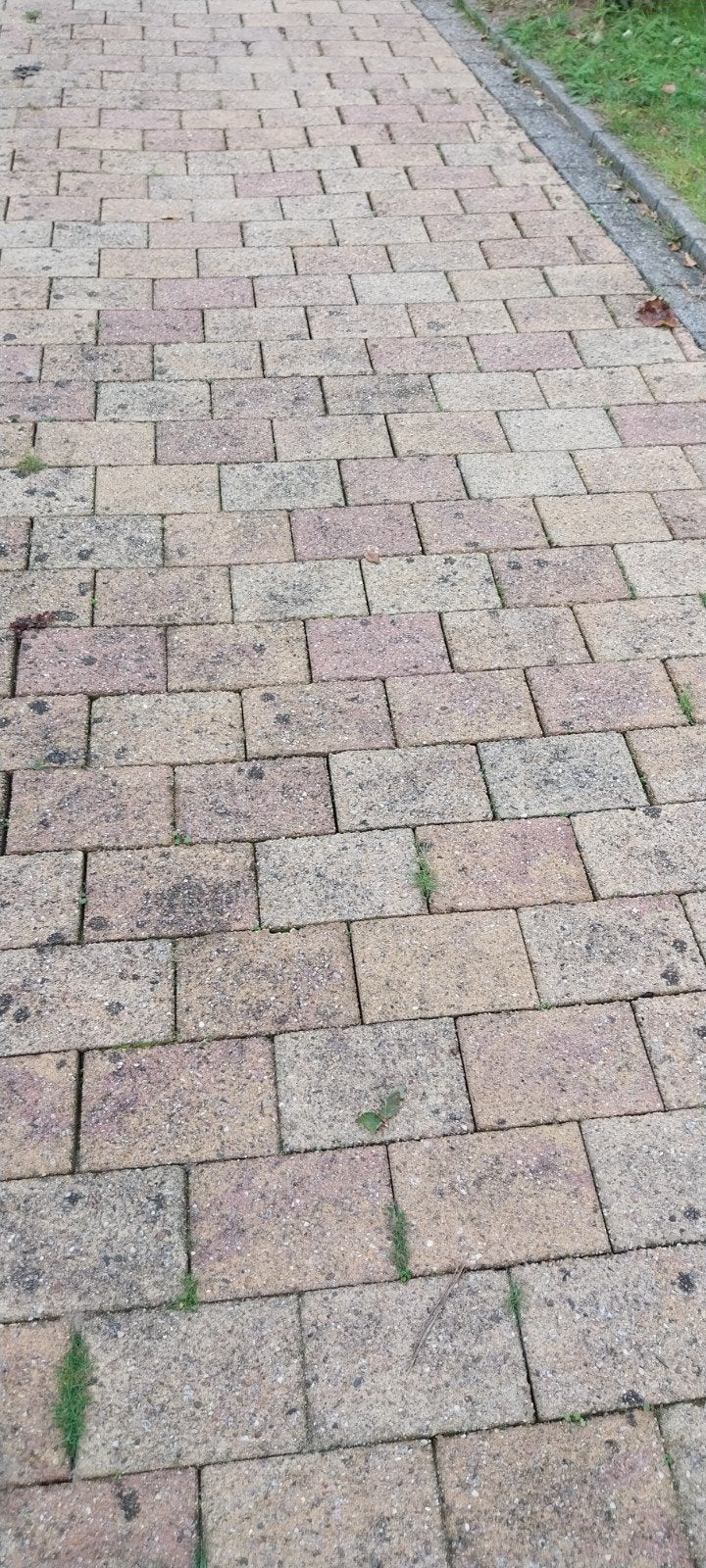 Gratis  Havanna betonsteen, Ophalen, Gebruikt, Overige typen, 10 m² of meer