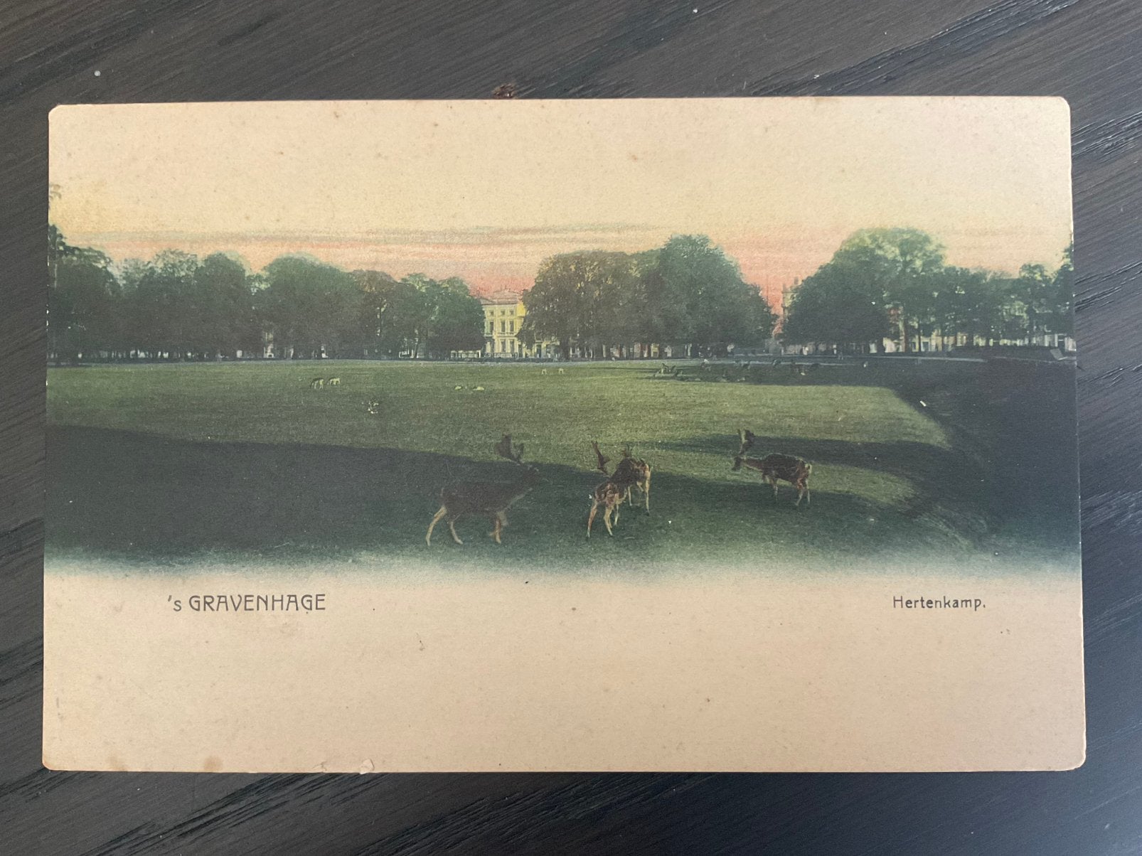 Den haag,hertenkamp, Ophalen of Verzenden, Voor 1920, Zuid-Holland