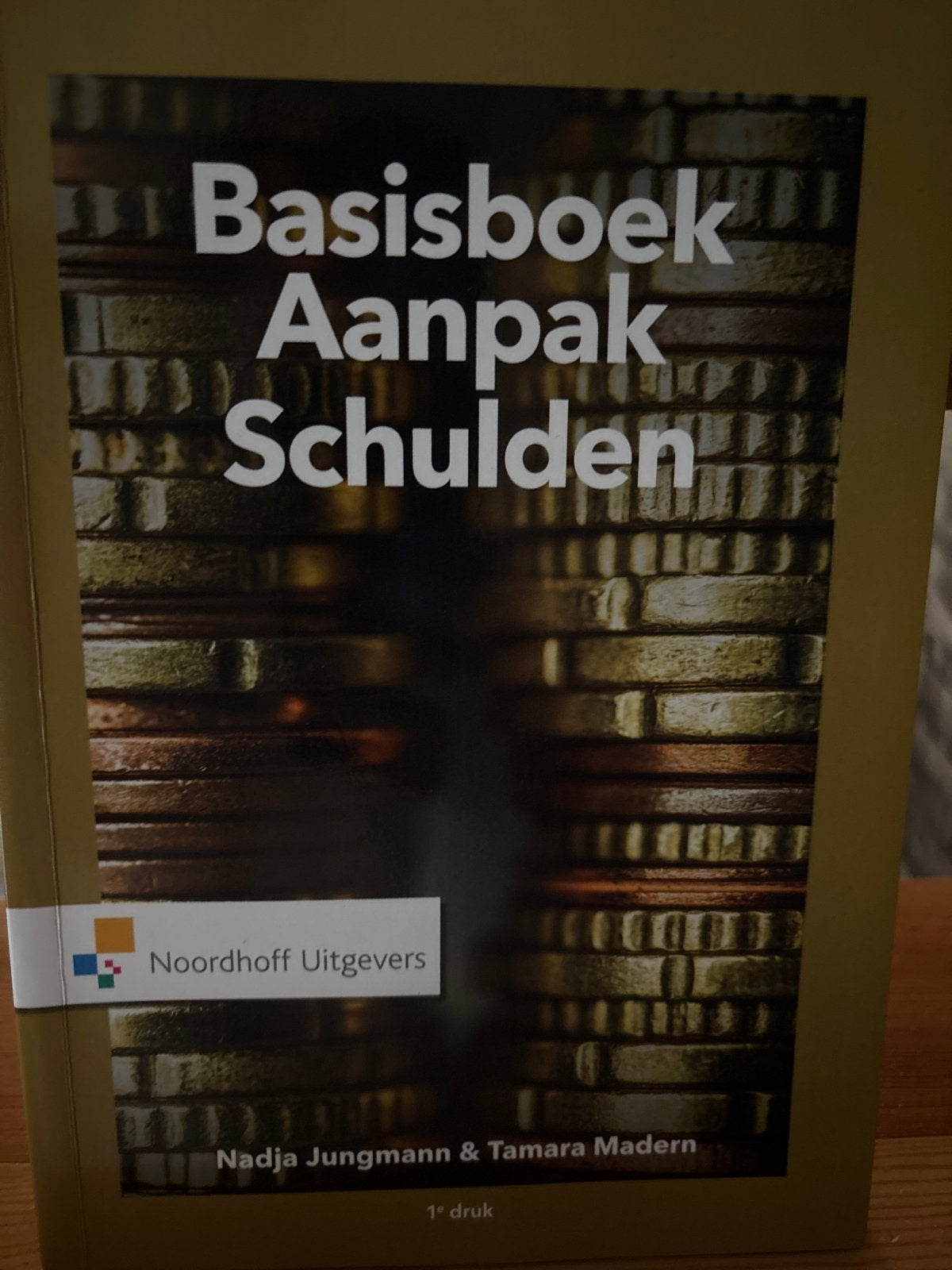 Basisboek Aanpak Schulden - Nadja Jungmann & Tamara Madern, Ophalen of Verzenden, Zo goed als nieuw, Overige onderwerpen