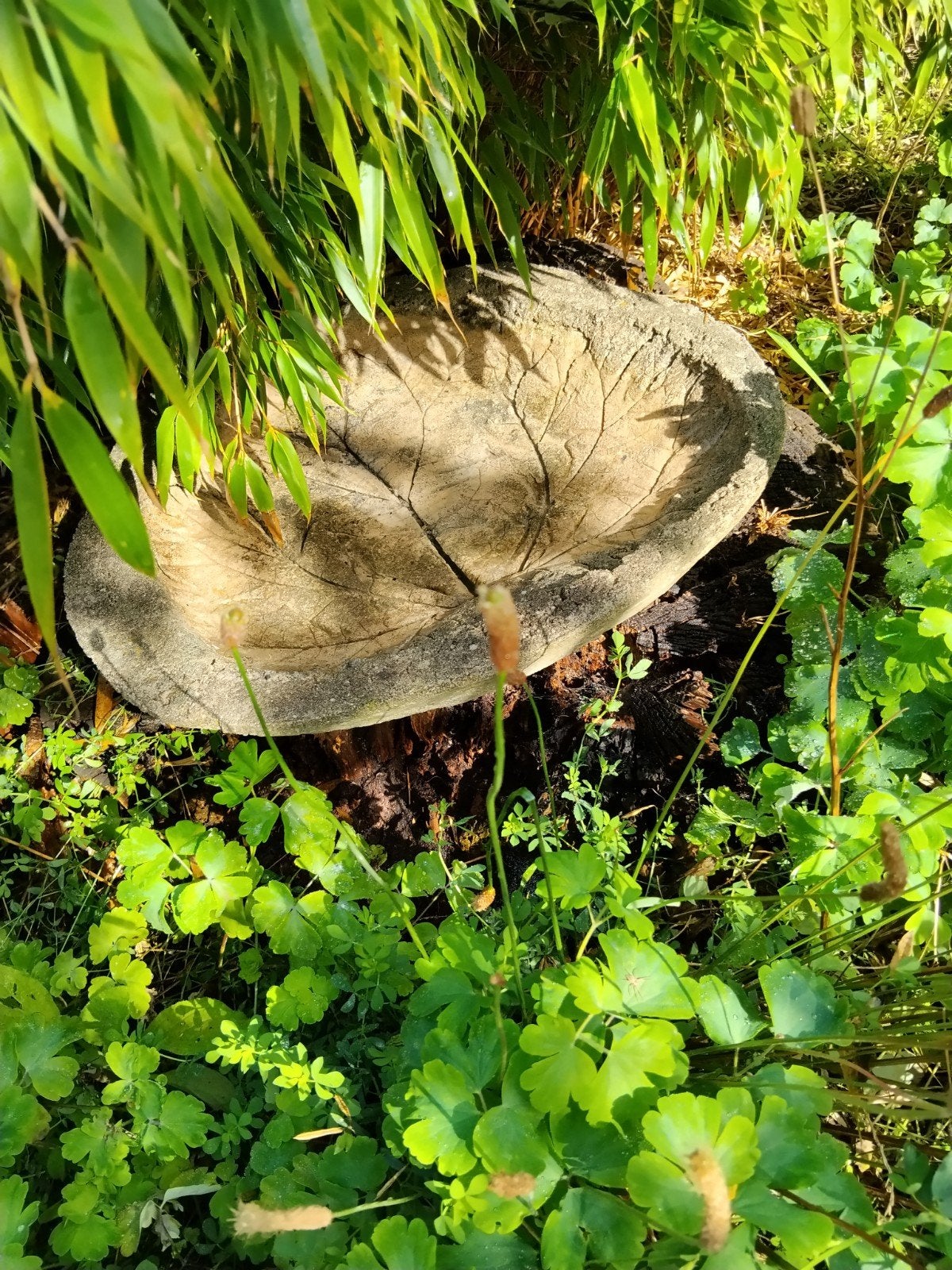 Wegens verhuizing mijn leuke vogeldrink/bad plaats van beton, Tuin en Terras, Ophalen