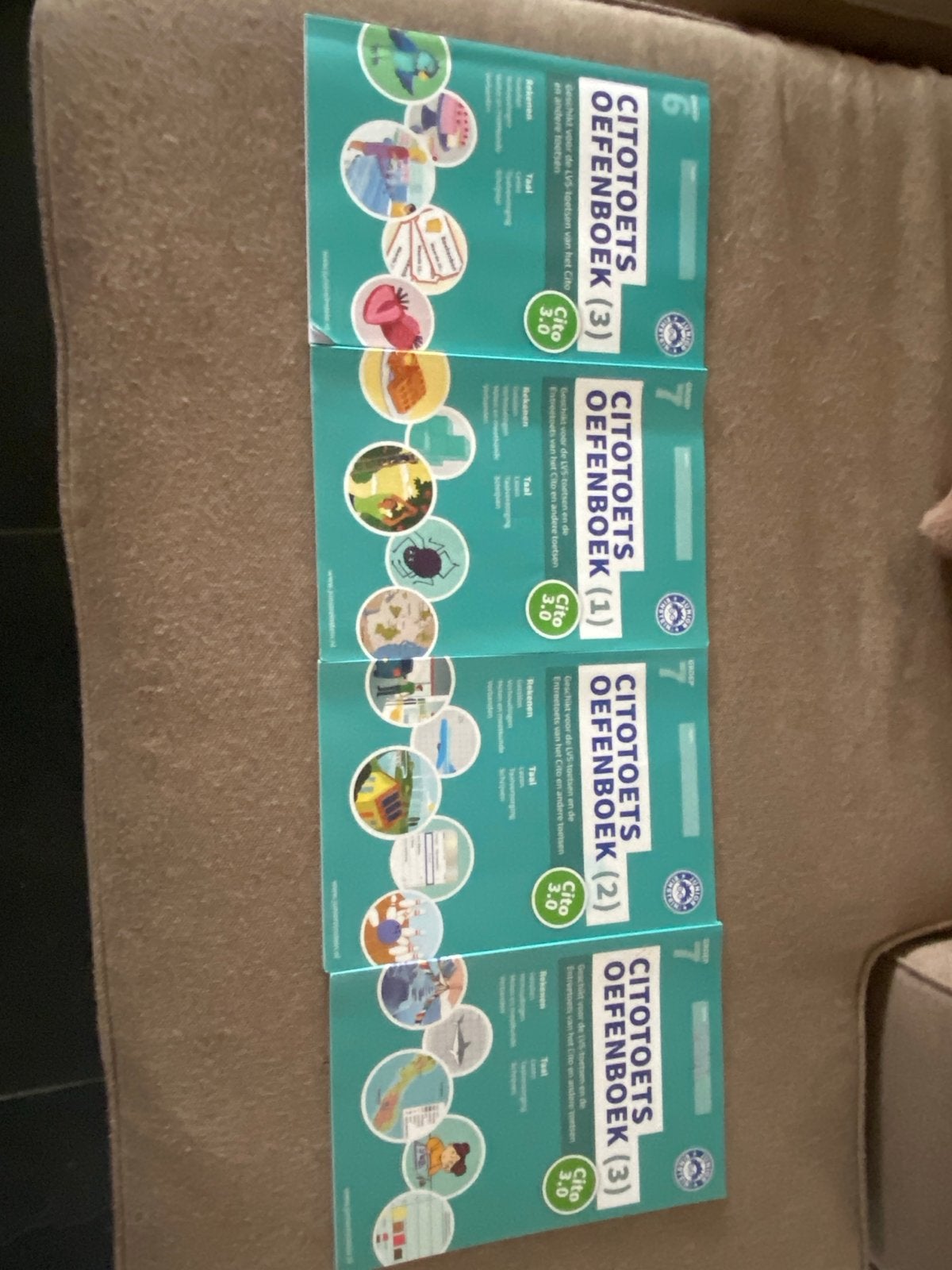 Cito oefenboeken Groep 6 en 7 - Junior Einstein, Boeken, Schoolboeken, Ophalen, Gelezen, Overige niveaus, Nederlands