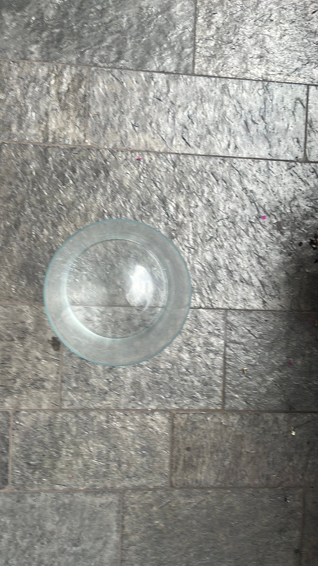 Grote glazen vaas – transparant en stijlvol, Ophalen, Zo goed als nieuw, Rond, Glas