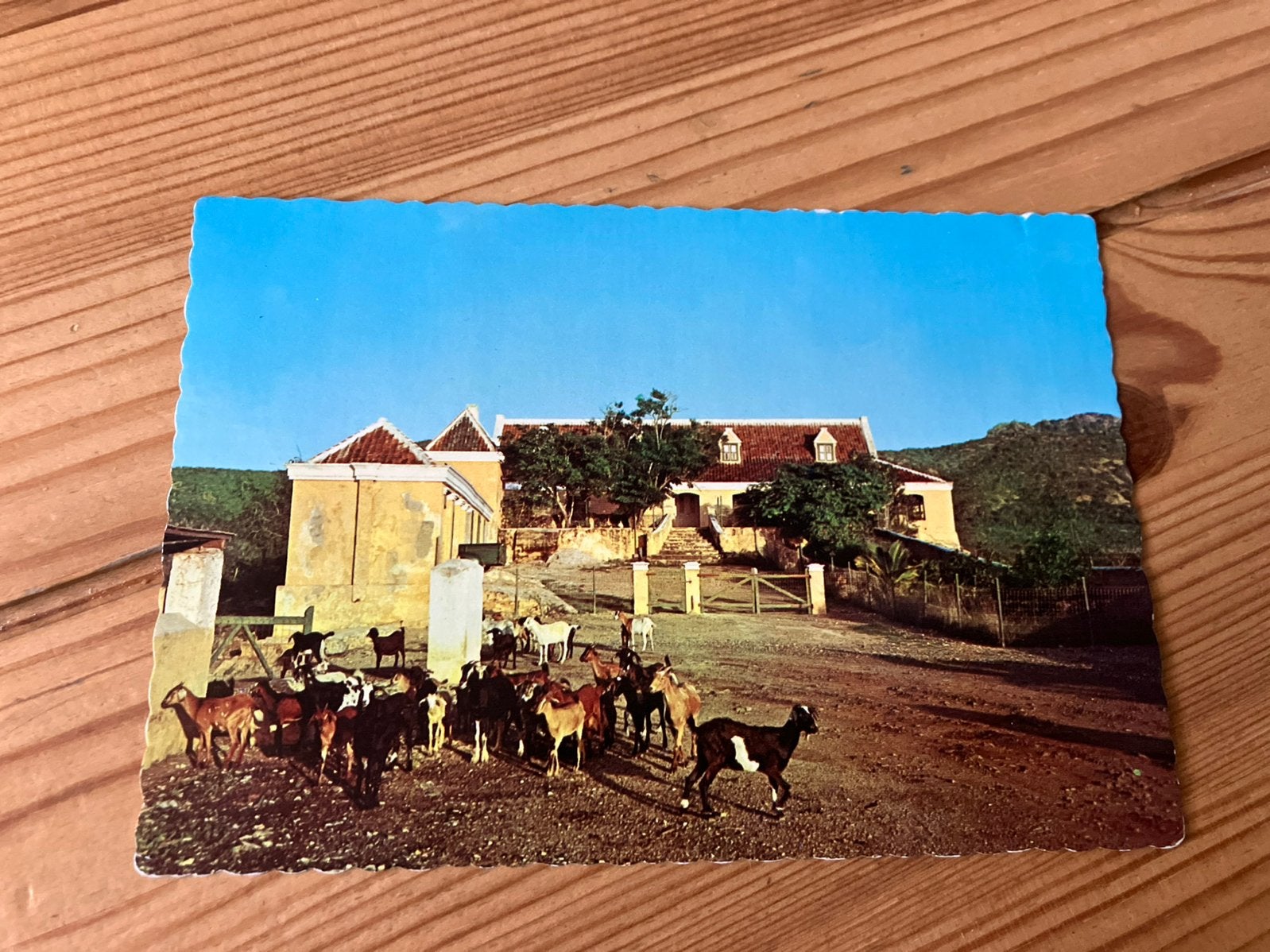 Ansichtkaart Curacao, cottage knip, Ophalen of Verzenden