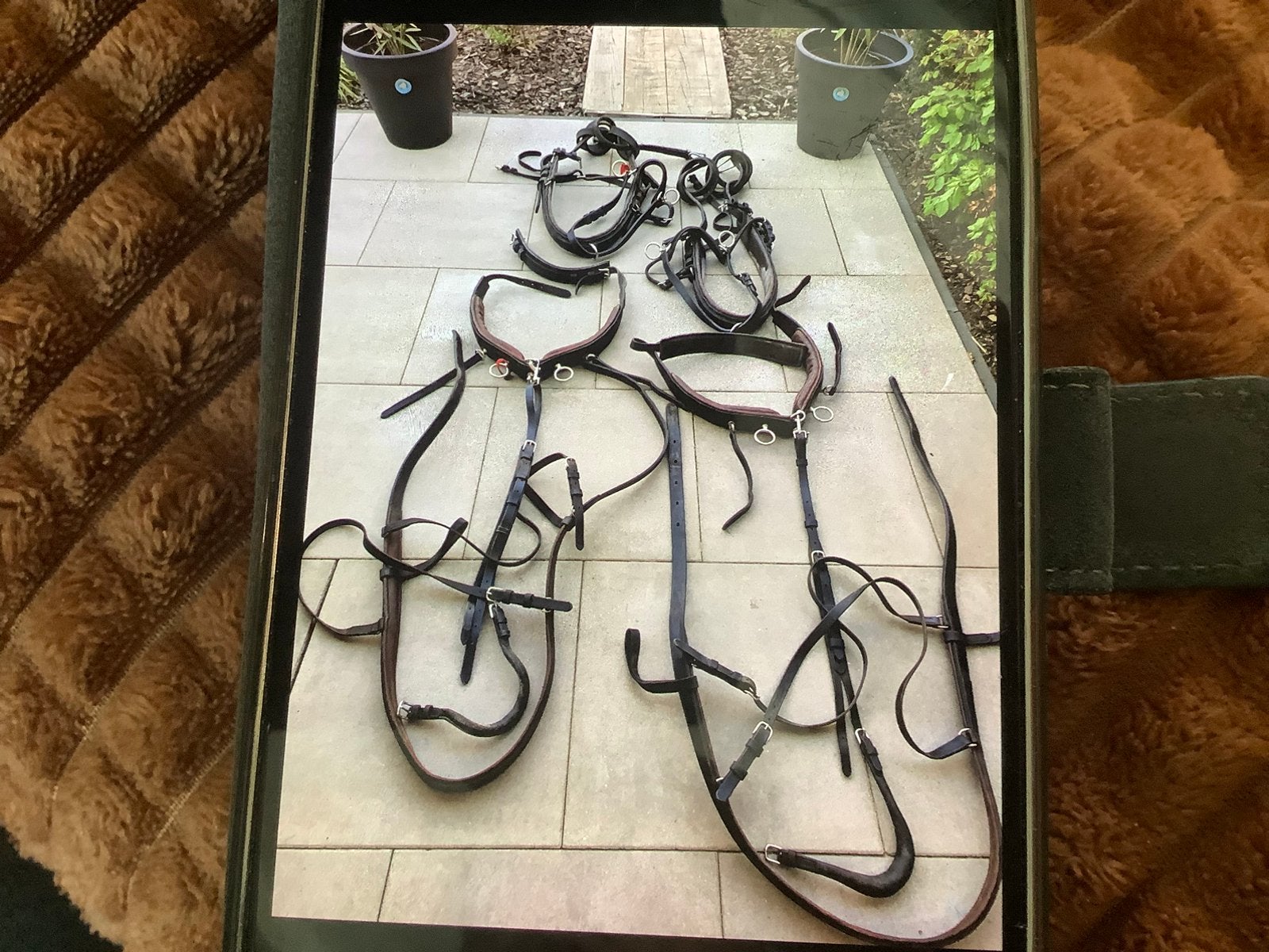Te koop tegen elk aannemelijk bod.., Dieren en Toebehoren, Ophalen of Verzenden, Zo goed als nieuw, Overige soorten