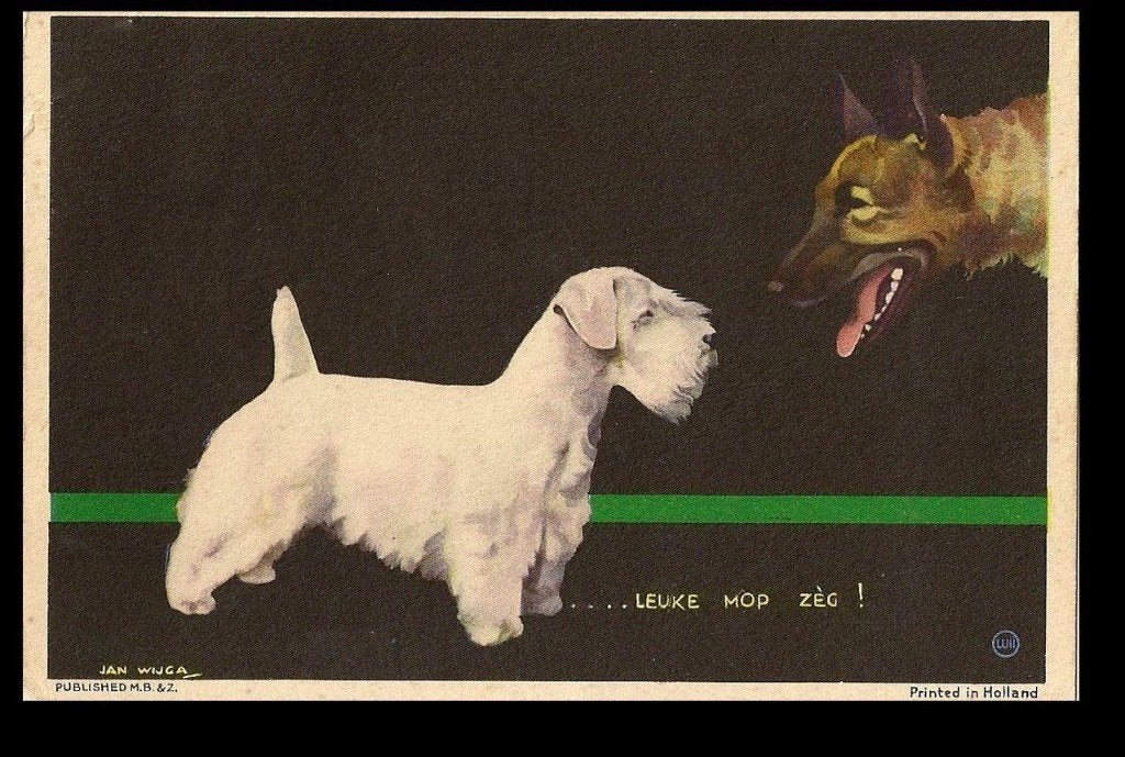Jan Wijga honden leuke mop zeg U19, Ophalen of Verzenden, 1920 tot 1940, Gelopen, Overige thema's