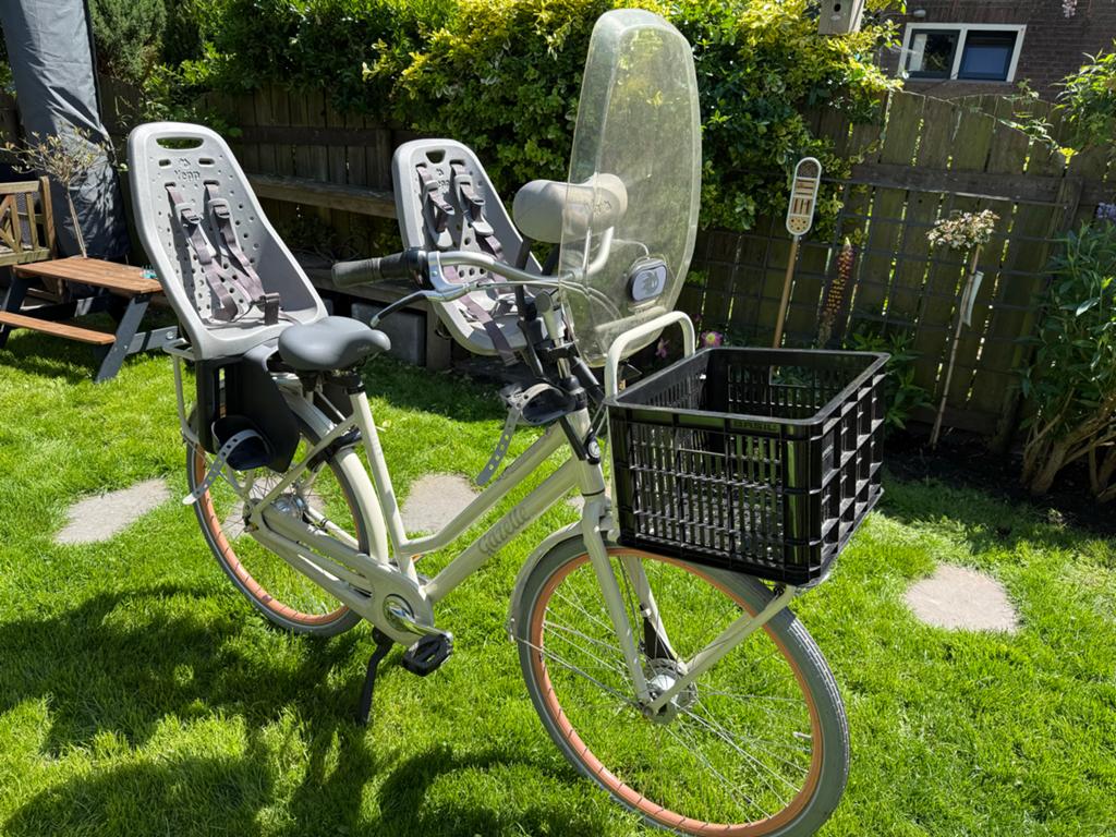 Gazelle Miss Grace met 2 Yepp kinderzitjes, Ophalen, Gebruikt, Gazelle