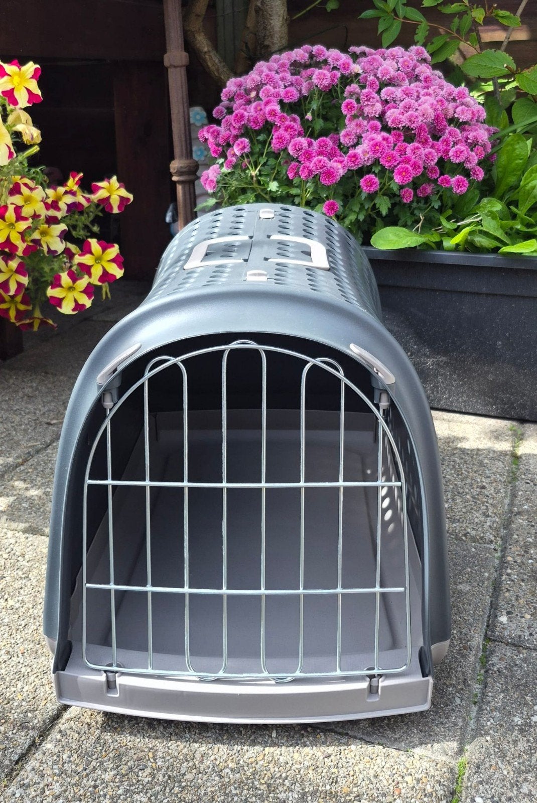 Kattenreis mand, Dieren en Toebehoren, Ophalen of Verzenden, Zo goed als nieuw