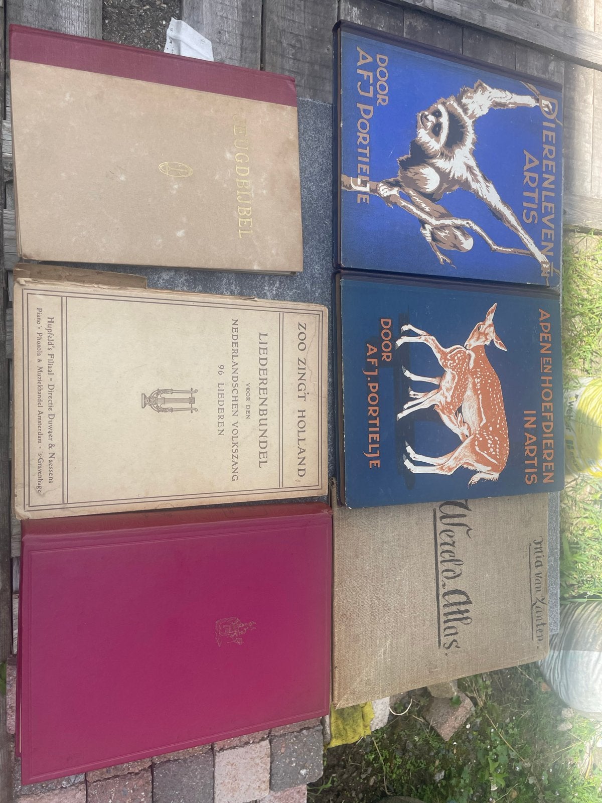 Oude Bijbelboeken en andere boeken, Antiek en Kunst, Ophalen of Verzenden