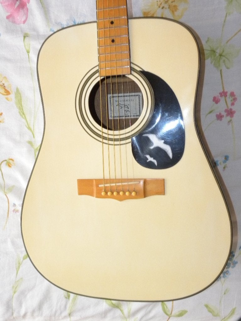 Akoestische model Seagulle, Ophalen of Verzenden, Gebruikt, Western- of Steelstringgitaar