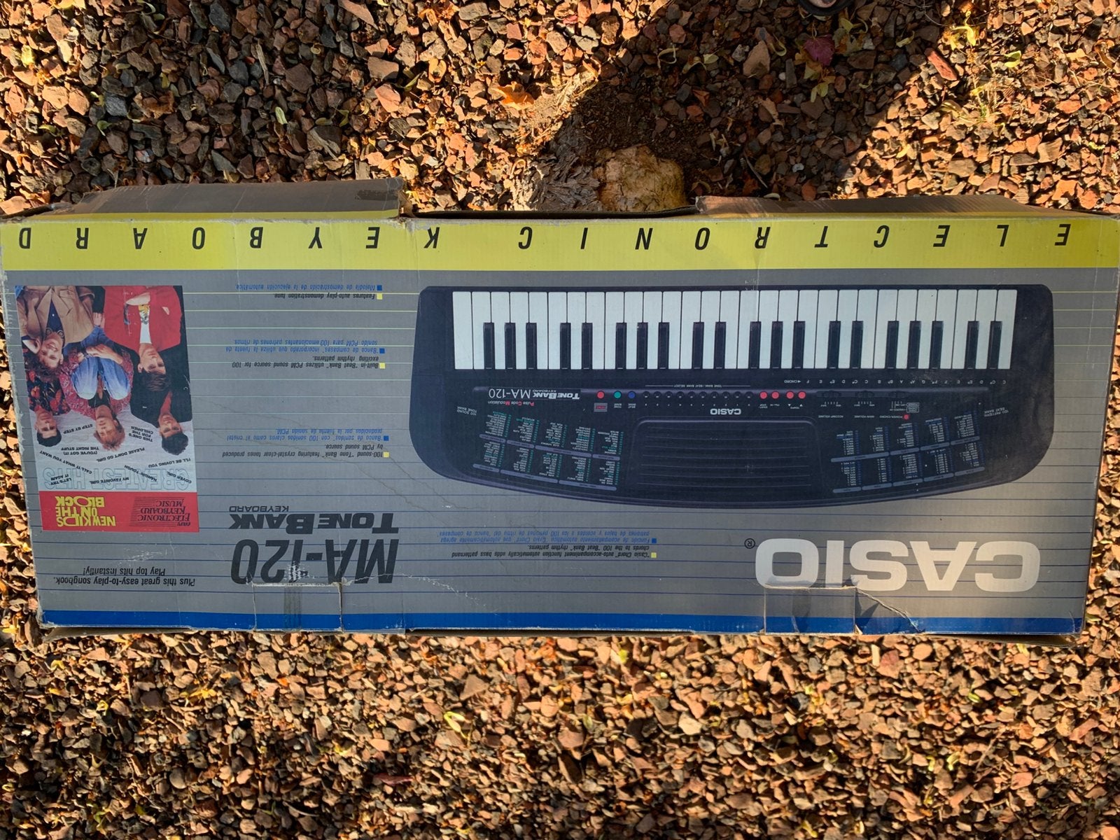 Keyboard Casio, Muziek en Instrumenten, Keyboards, Ophalen, 61 toetsen, Casio