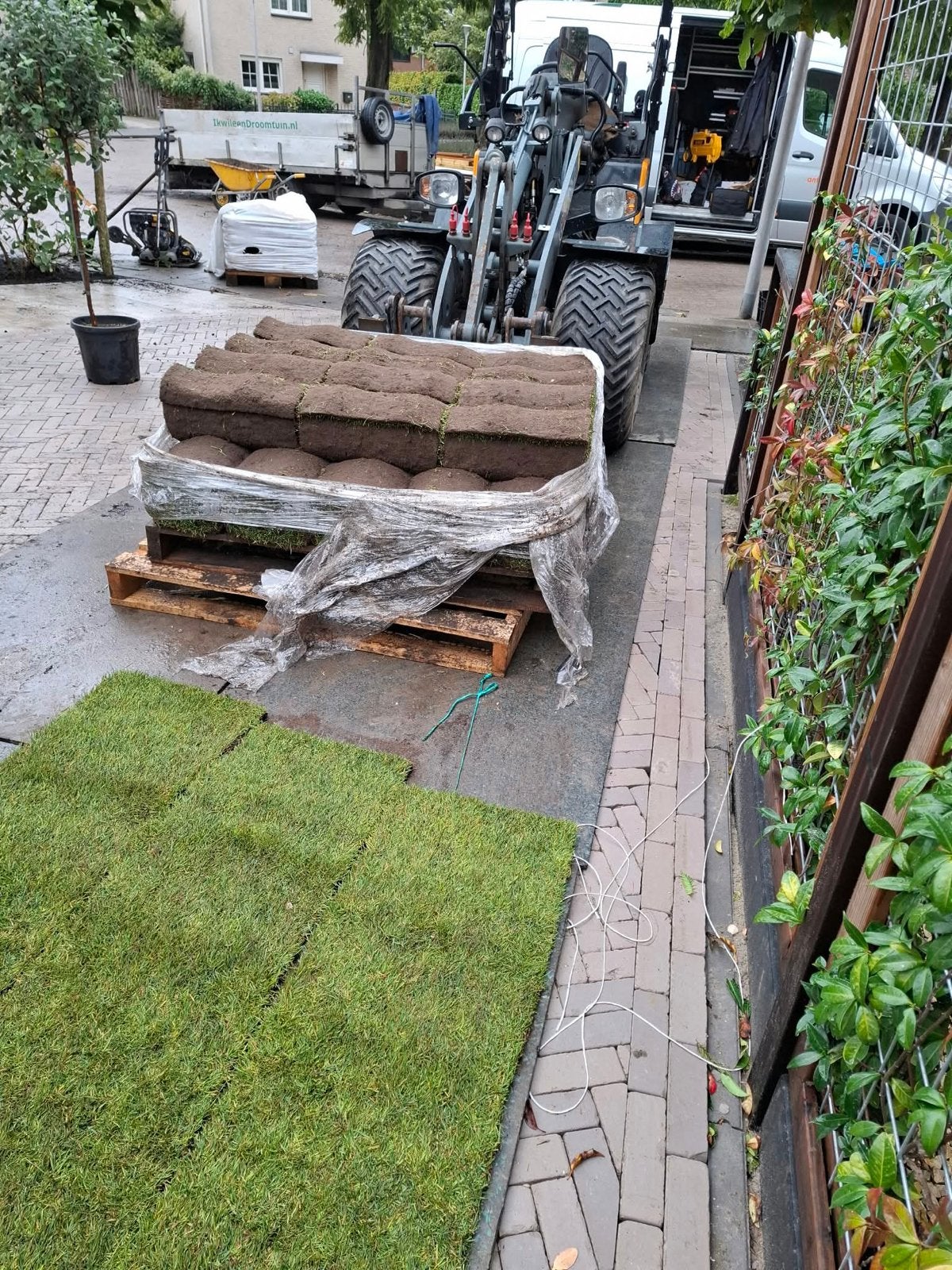 Verse Graszoden 28 st. voor een Prachtig Gazon, Ophalen, Nieuw, 20 m² of meer, Gras