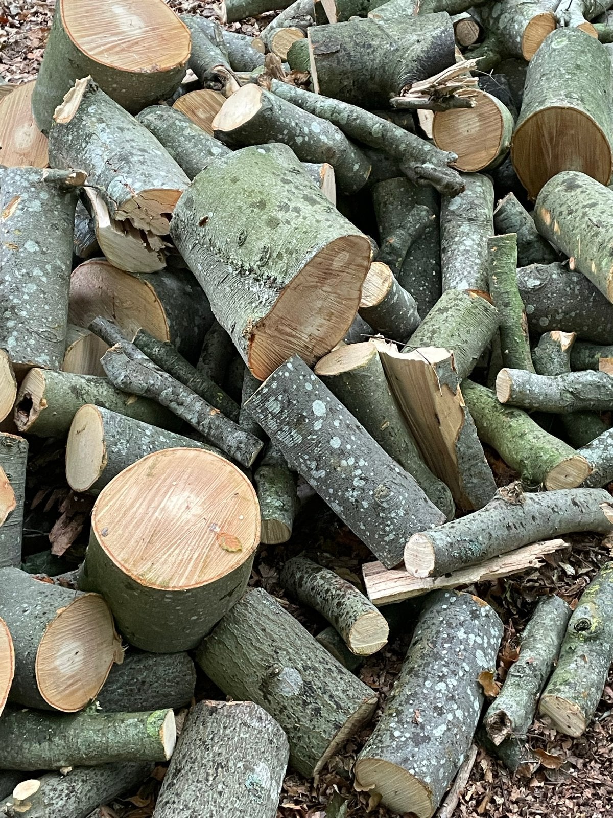 2 kuub beukenhout, regio Groningen, Minder dan 3 m³, Ophalen, Beukenhout, Blokken
