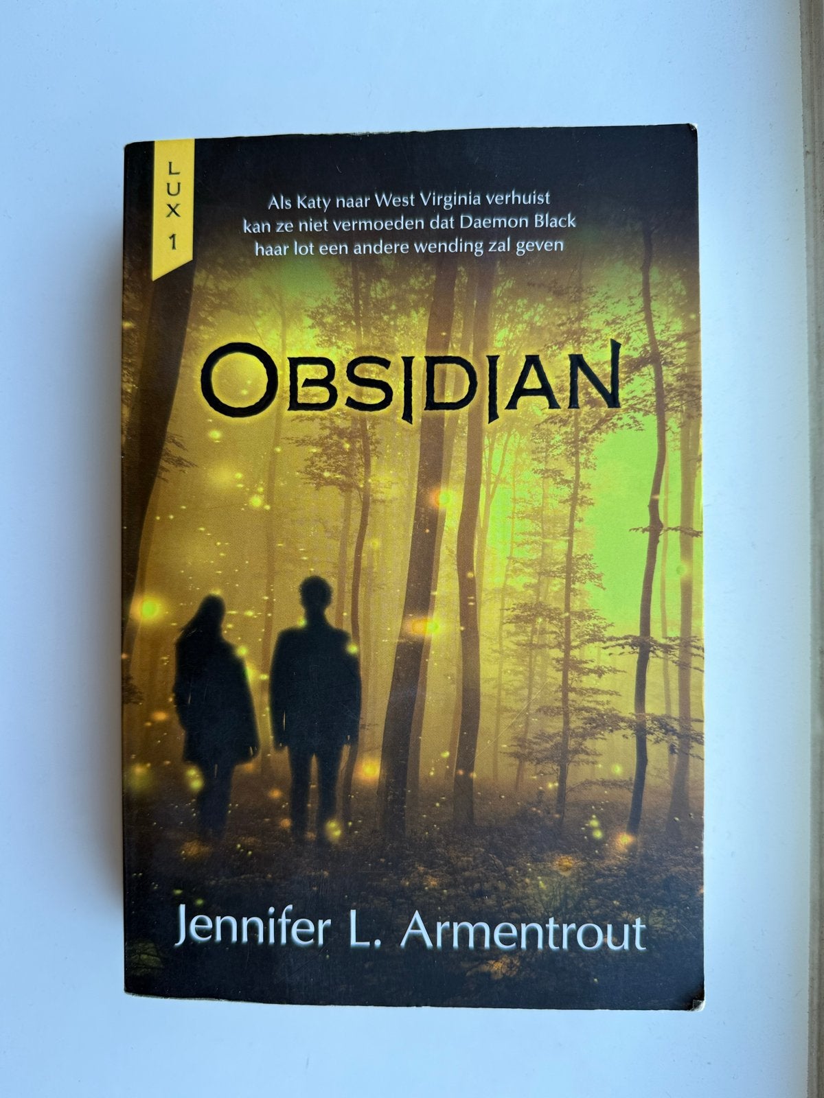 Obsidian - Lux 1 - Jennifer L. Armentrout, Boeken, Ophalen of Verzenden, Zo goed als nieuw, Nederland