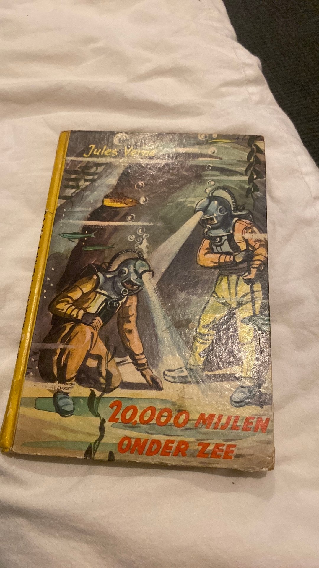 Jules Verne 20.000 mijlen onder zee, Boeken, Ophalen of Verzenden, Gelezen