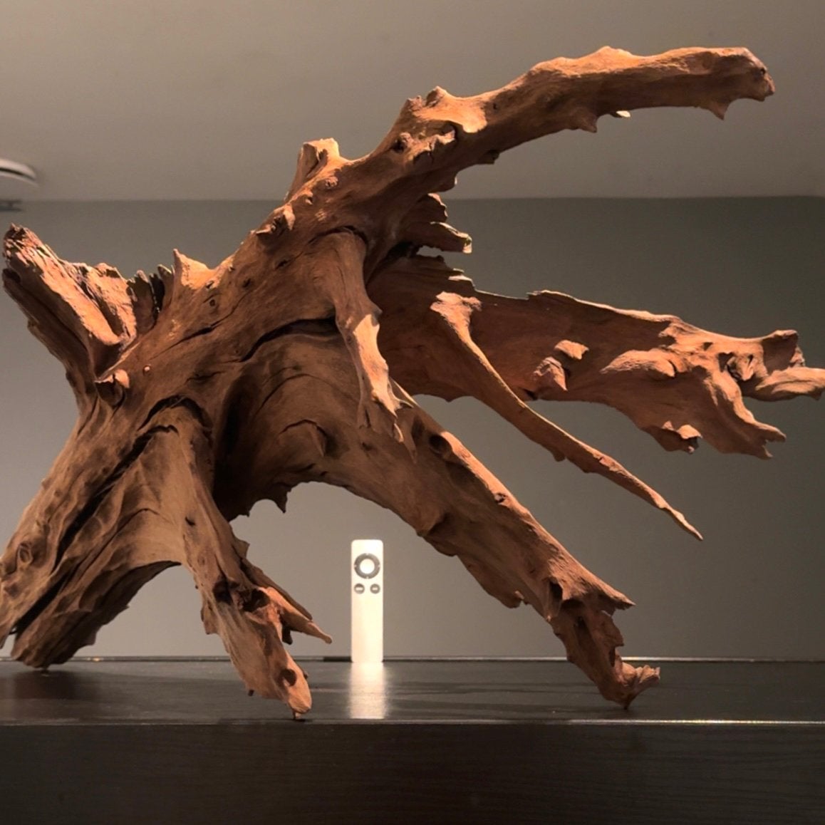 XXL Stuk Kienhout / Spiderwood / Driftwood, Hout Decoratie, Dieren en Toebehoren, Vissen | Aquaria en Toebehoren, Ophalen of Verzenden