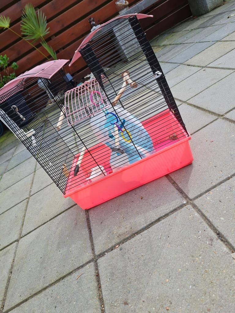Parkiet kooi, Dieren en Toebehoren, Vogels | Parkieten en Papegaaien