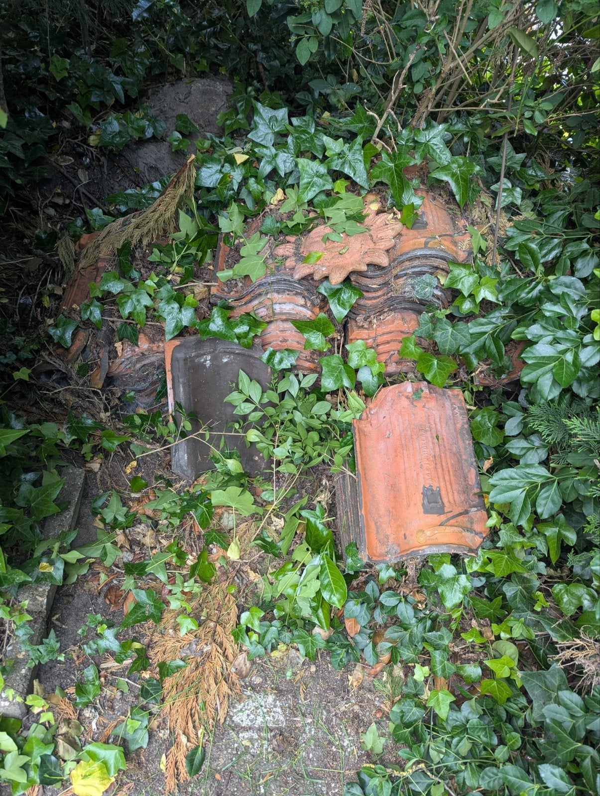 Dakpannen circa 50 stuks, Doe-het-zelf en Verbouw, Dakpannen en Dakbedekking, Ophalen, Gebruikt, Steen of Klei, Minder dan 5 m²