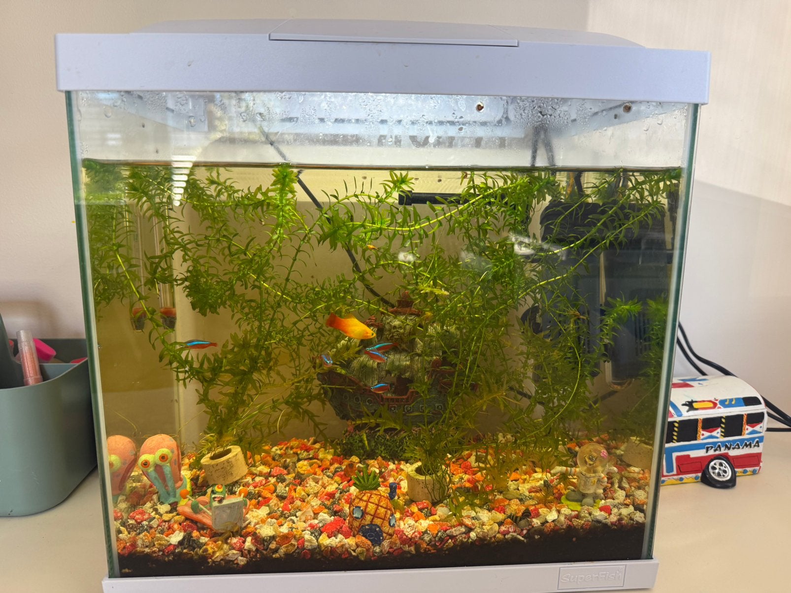 SuperFish aquarium Start 30 Tropical Kit 25 L, Ophalen, Pomp, Zo goed als nieuw, Gevuld zoetwateraquarium