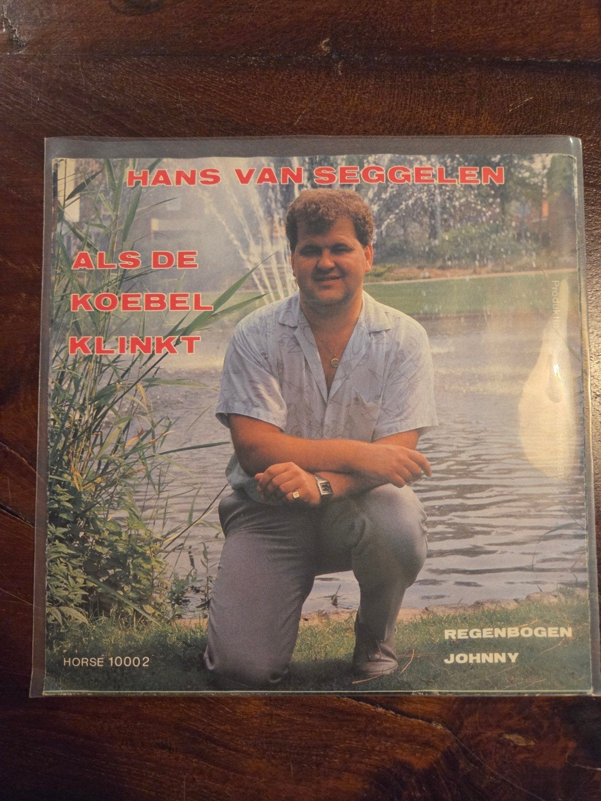 hans van seggelen - regenbogen johnny, Ophalen of Verzenden