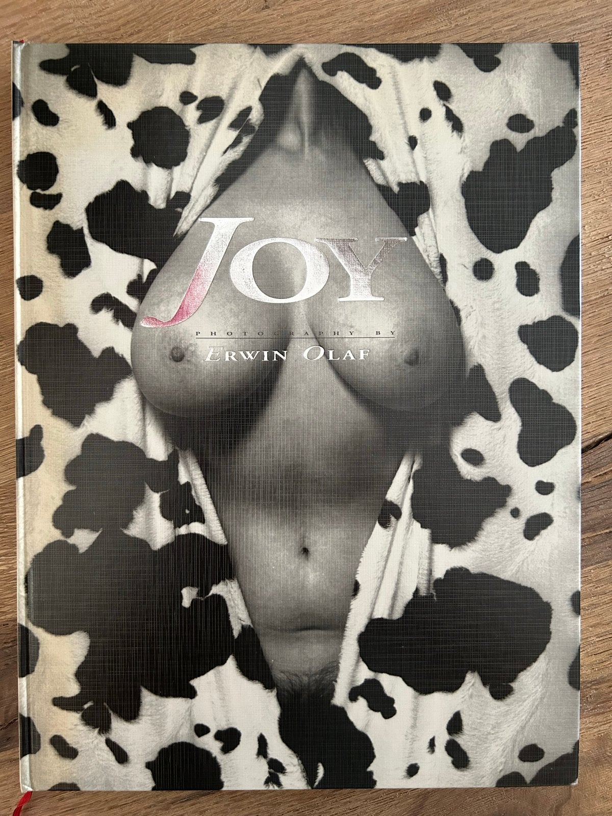 Joy - Photography by Erwin Olaf - Fotoboek, Ophalen of Verzenden, Gelezen, Fotografie algemeen