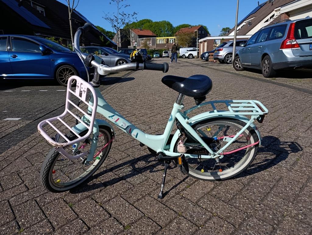 Meisjesfiets, Ophalen, Terugtraprem, Gebruikt, Alpina