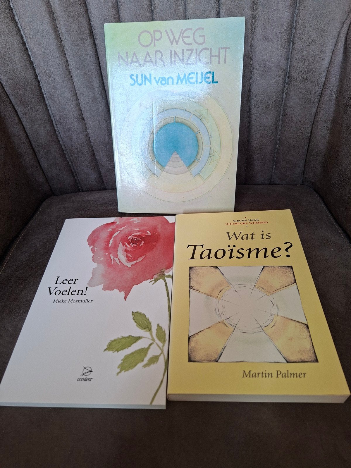 3 boeken over spiritualiteit: Inzicht, Voelen, Taoïsme, Gelezen, Achtergrond en Informatie, Spiritualiteit algemeen, Sun van Meijel, Mieke Mosmuller, Martin Palmer