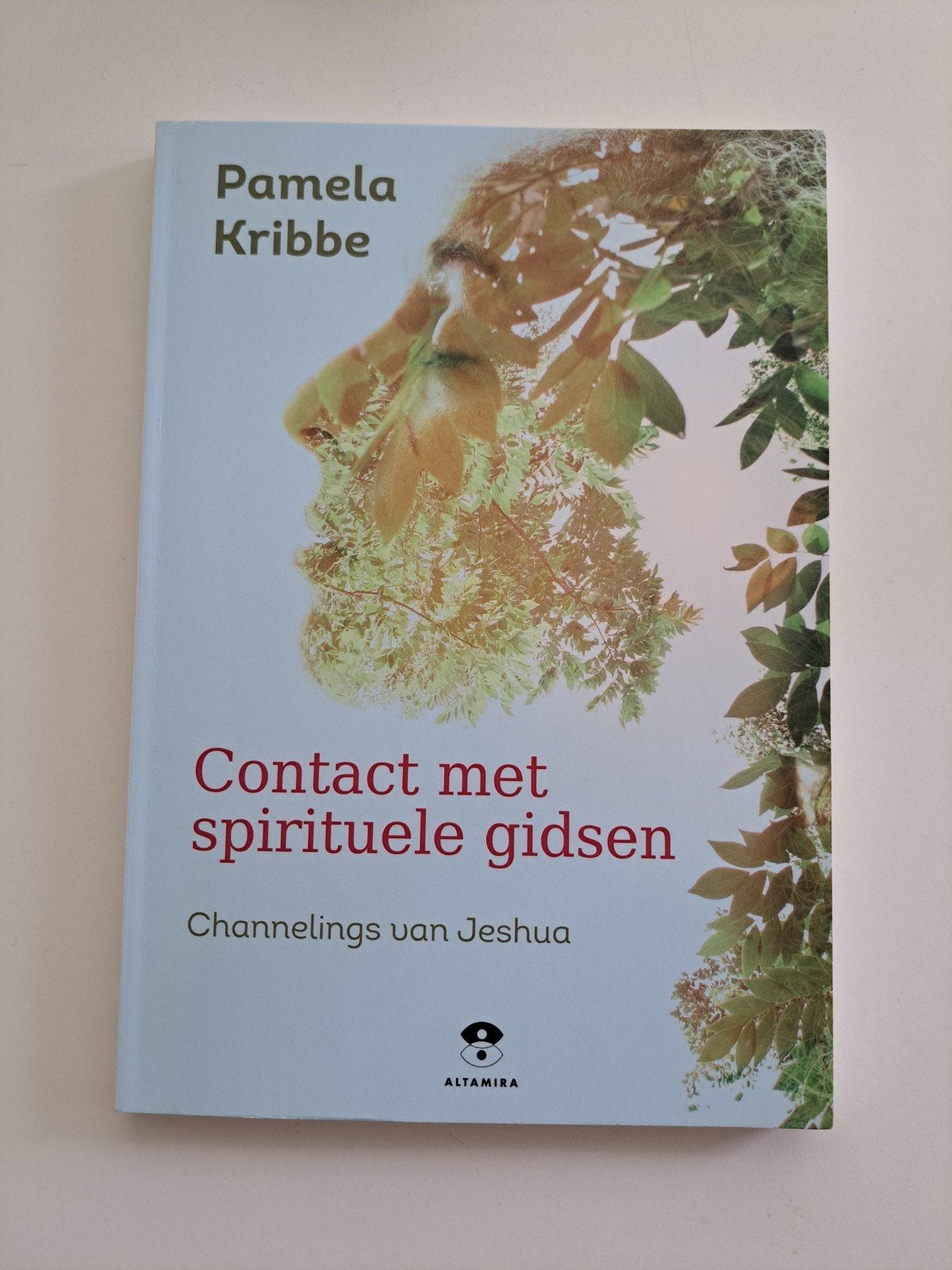 Pamela Kribbe - Contact met spirituele gidsen, Spiritualiteit algemeen, Overige typen, Ophalen of Verzenden, Zo goed als nieuw
