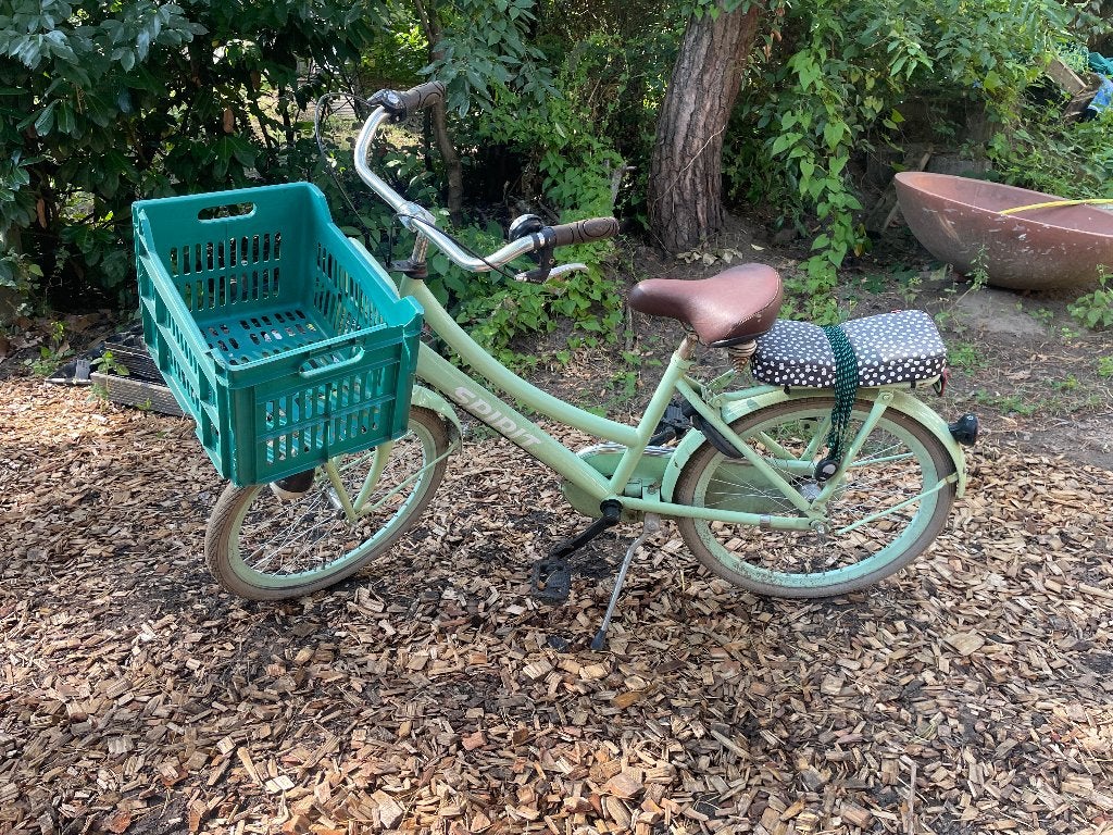 Meisjesfiets lichtgroen 22 inch, Ophalen, Terugtraprem, 22 inch, Gebruikt