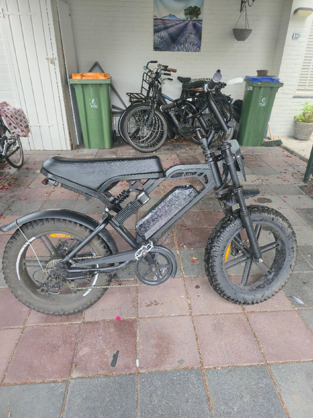 V20 Pro Limited Edition E-bike met 1000W motor MOET SNEL WEG, Ophalen of Verzenden