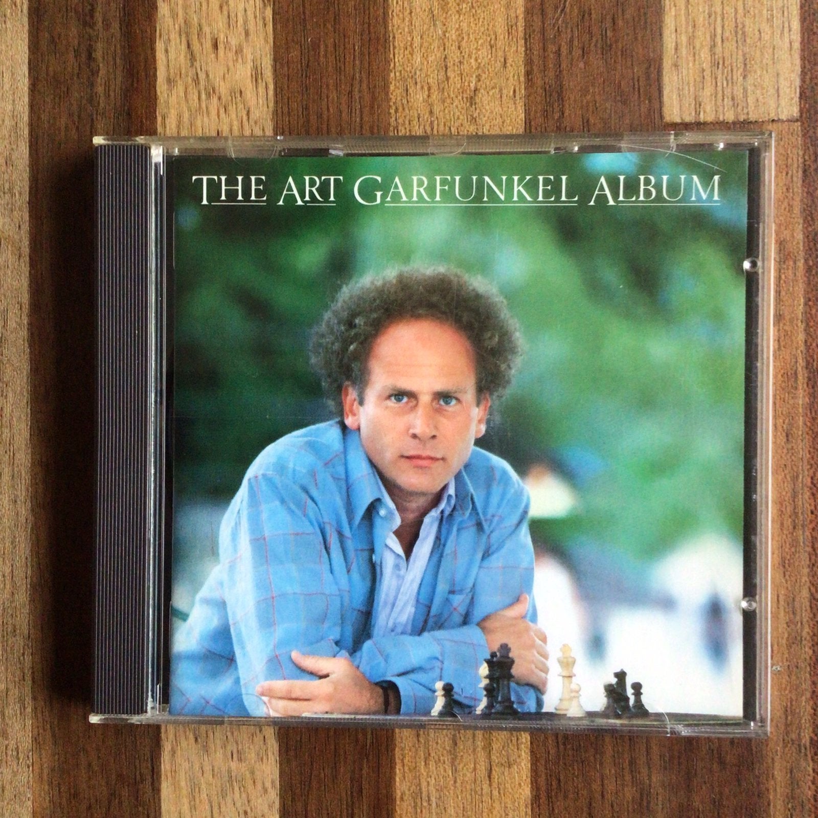Art Garfunkel, Ophalen of Verzenden, Zo goed als nieuw