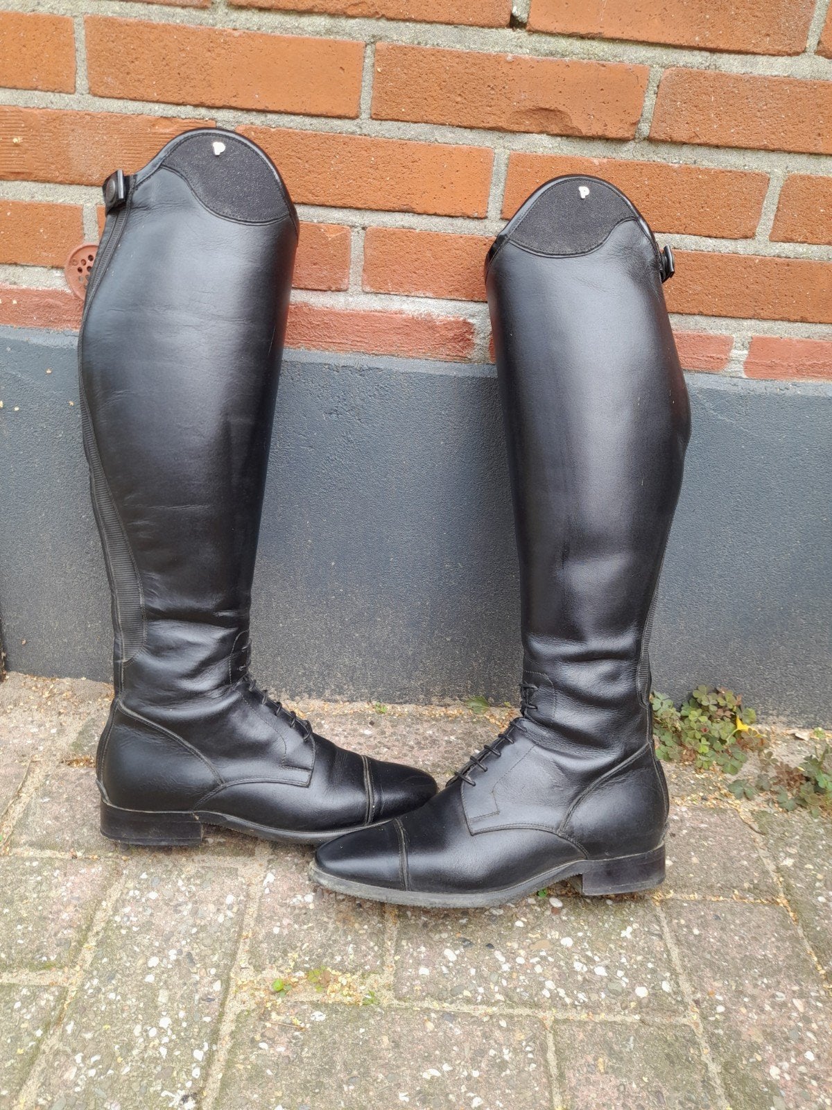 Petrie Riva 39w, Dieren en Toebehoren, Ophalen of Verzenden, Dressuur, Schoeisel