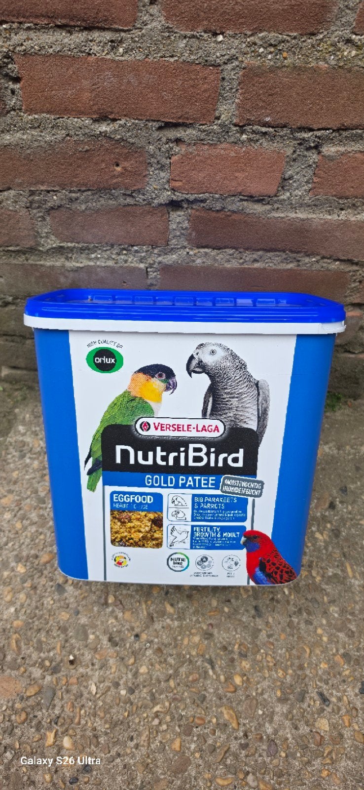 Eivoer, Dieren en Toebehoren, Vogels | Parkieten en Papegaaien
