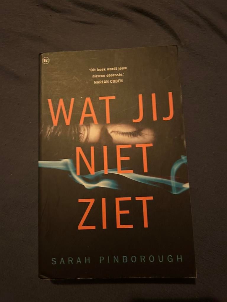Wat jij niet ziet - Sarah Pinborough, Ophalen of Verzenden, Zo goed als nieuw