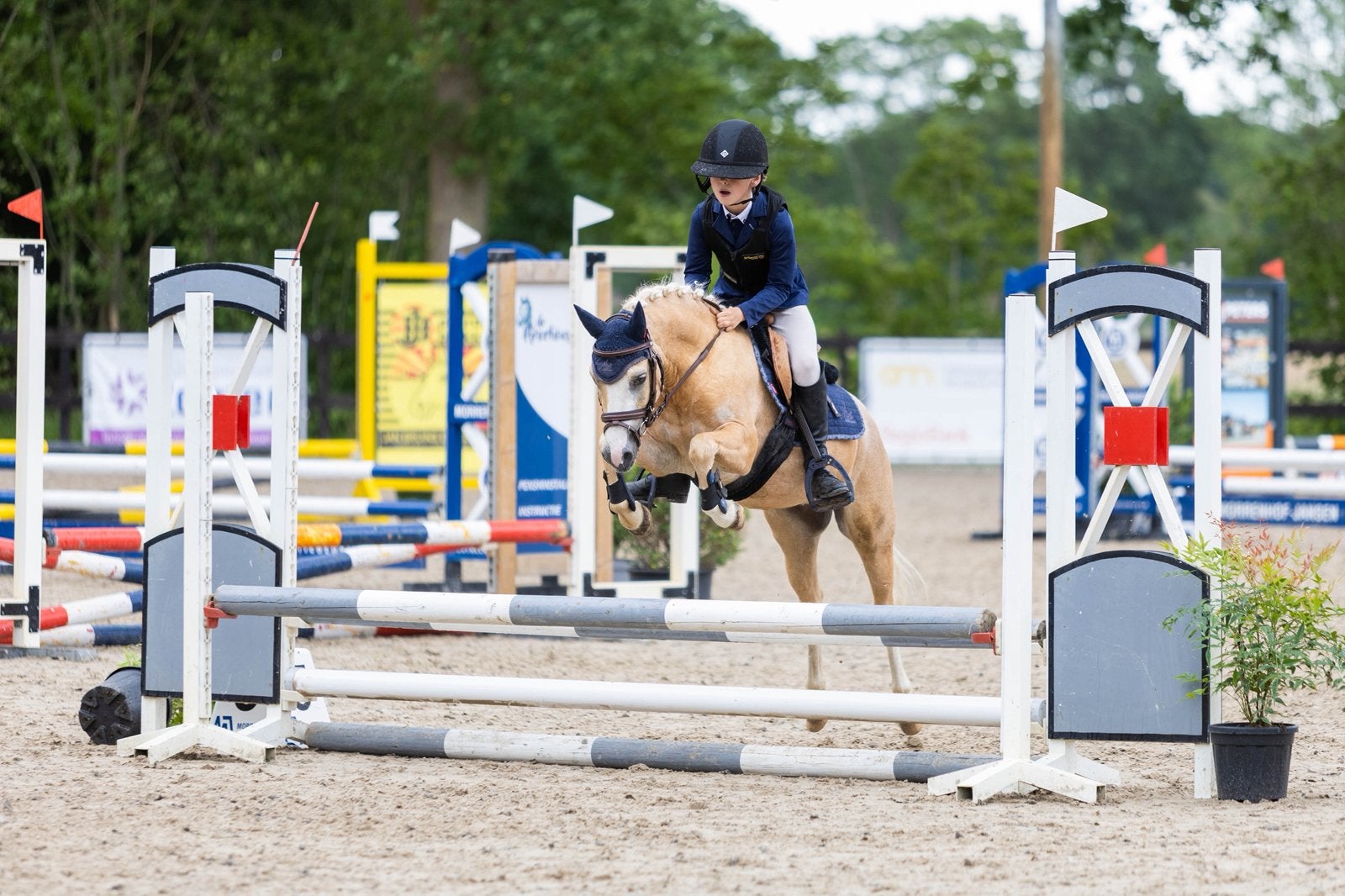 Eyecatcher voor fanatiek dressuur/springruitertje!, Dieren en Toebehoren, Pony's, Met stamboom, Ruin, Springpony, 3 tot 6 jaar