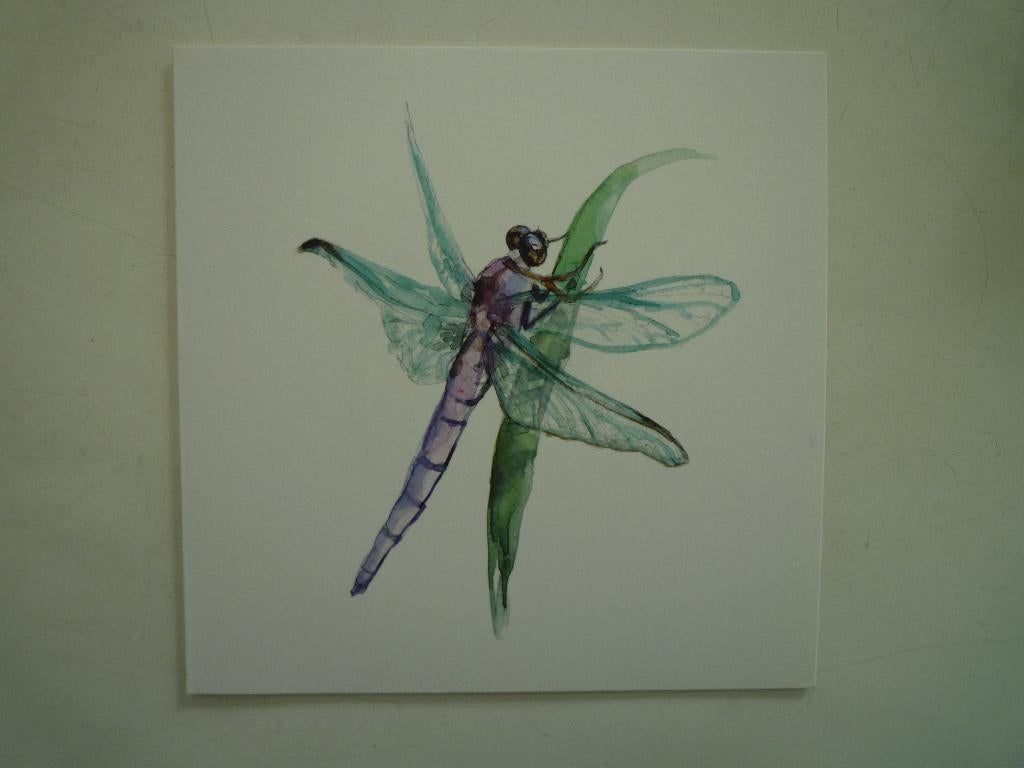 Kunstkaart Michelle Dujardin insect libelle, Verzamelen, Ophalen of Verzenden, 1980 tot heden, Hond of Kat