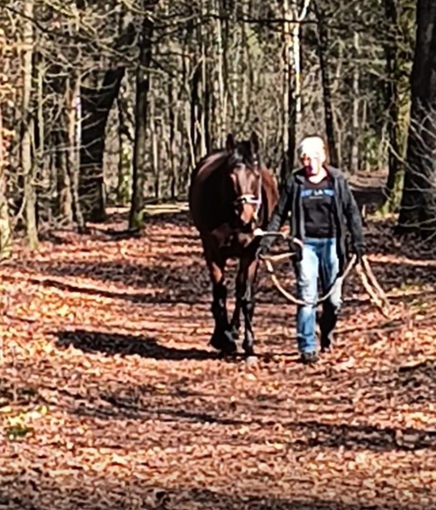 Super gave Merrie met??  zoekt gouden stalletje...., Dieren en Toebehoren, Paarden, B, 7 tot 10 jaar, 160 tot 165 cm, Recreatiepaard