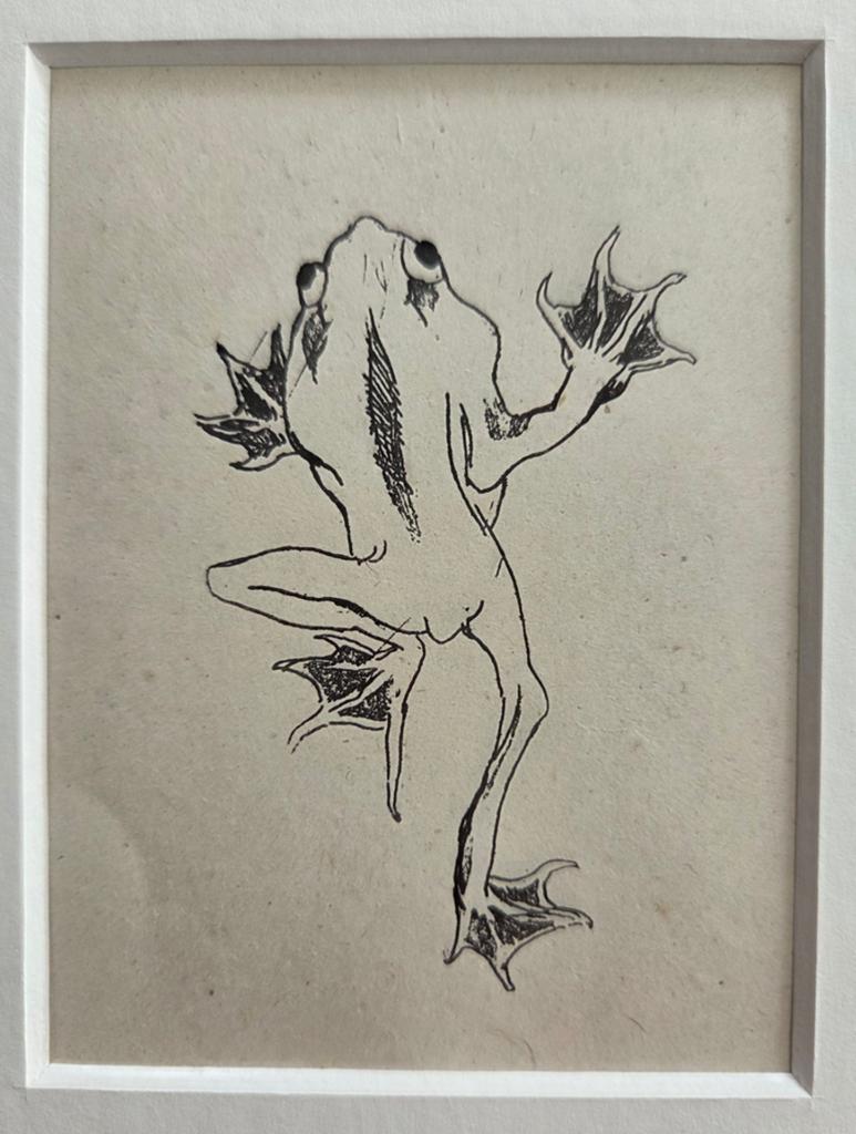 Felicien Rops. Heliogravure. Kikker. 1905., Antiek en Kunst, Kunst | Etsen en Gravures, Ophalen of Verzenden