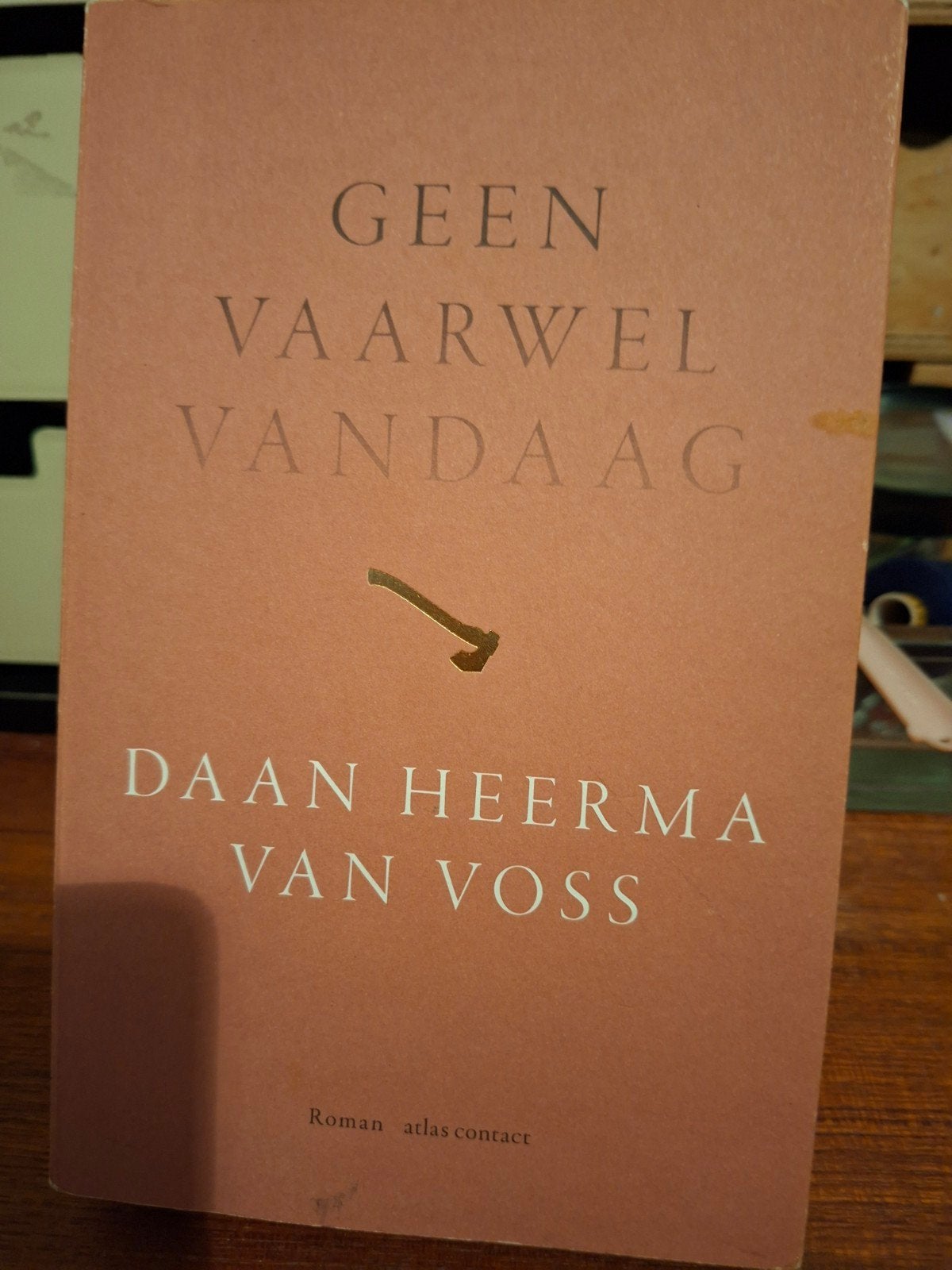 Daan Heerma van Voss - Geen vaarwel vandaag, Boeken, Verzenden, Daan Heerma van Voss