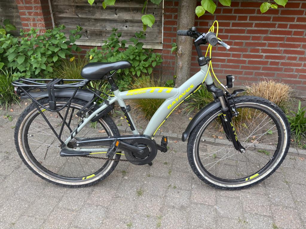 Batavus Snake-24 kinderfiets recent onderhoud Hoogstraten, Ophalen, Gebruikt, Batavus, Terugtraprem
