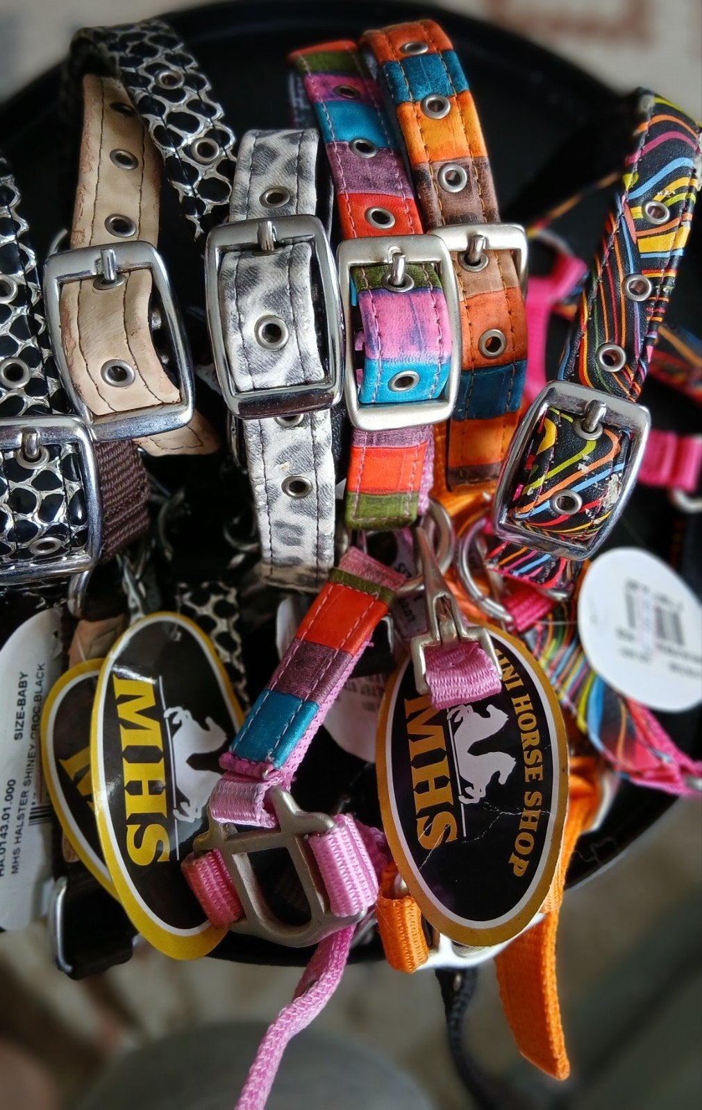 Mini halsters in verschillende kleuren en maten Nieuw, Ophalen of Verzenden, Nieuw, Recreatie