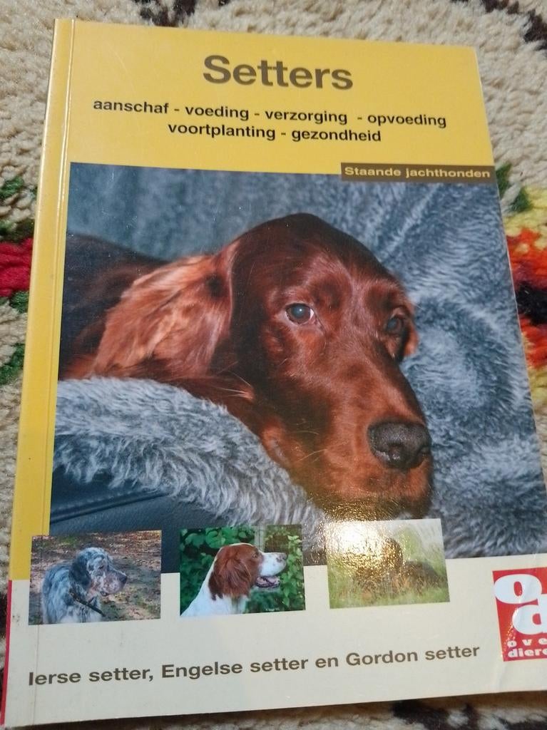 Boek Setters: aanschaf, voeding, verzorging, opvoeding, Boeken, Ophalen of Verzenden