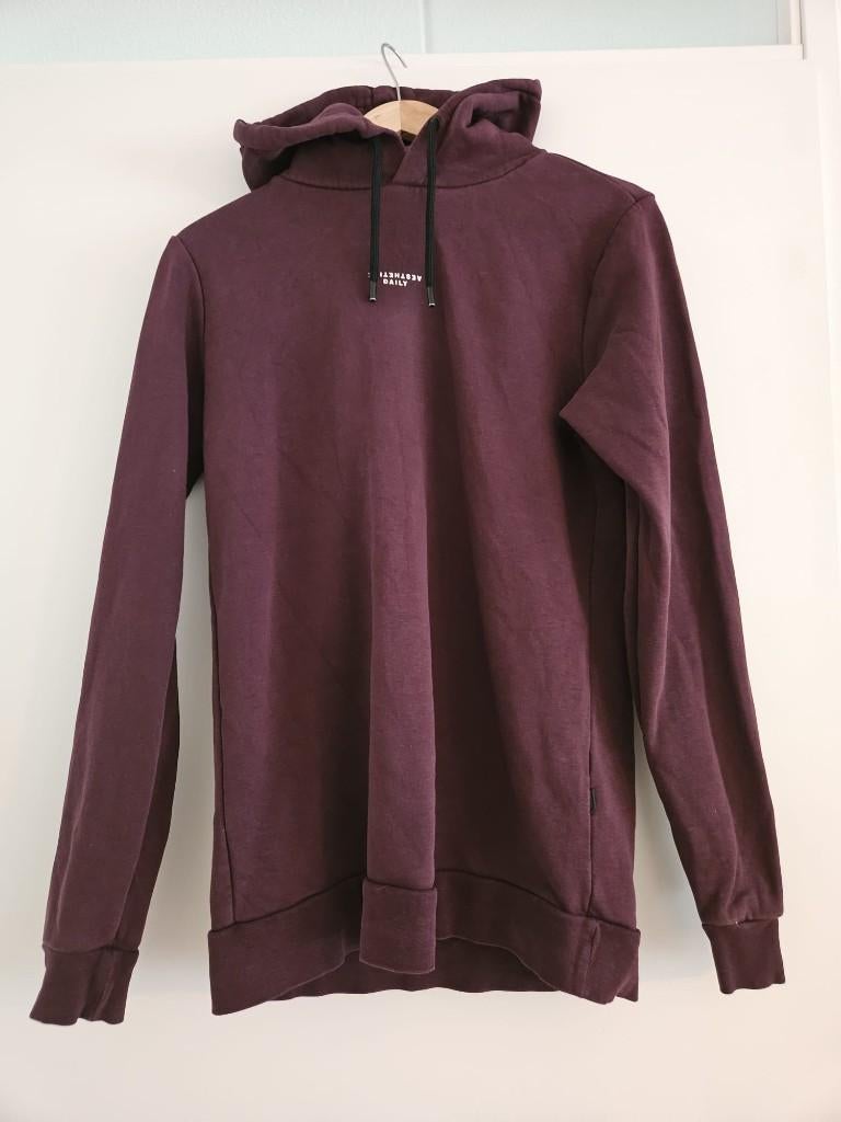 Hoodie Sting Daily Aesthetikz donkerrood maat XS, Ophalen of Verzenden, Zo goed als nieuw, The Sting, Rood
