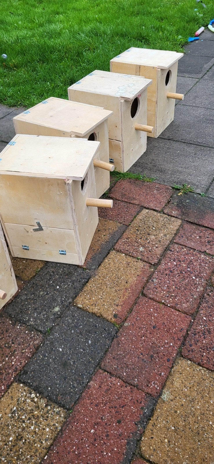 broedhokken voor grote vogels, Ophalen of Verzenden, Gebruikt, Hout, Broedkooi of Kweekkooi