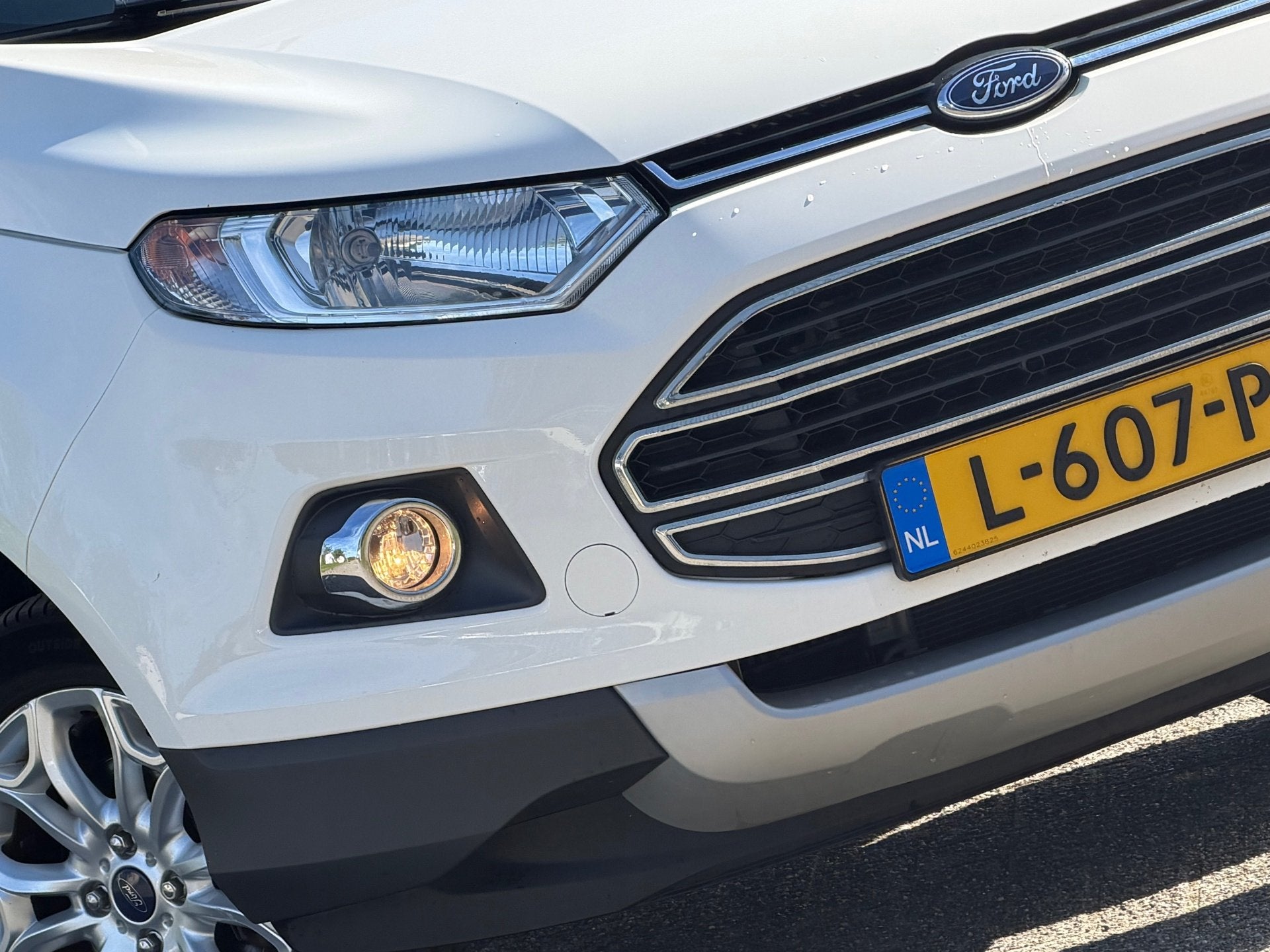 Ford EcoSport 1.0 EcoBoost Titanium- Diamond White - Hoge In, Auto's, Voorwielaandrijving, 125 pk, Gebruikt, Ecosport