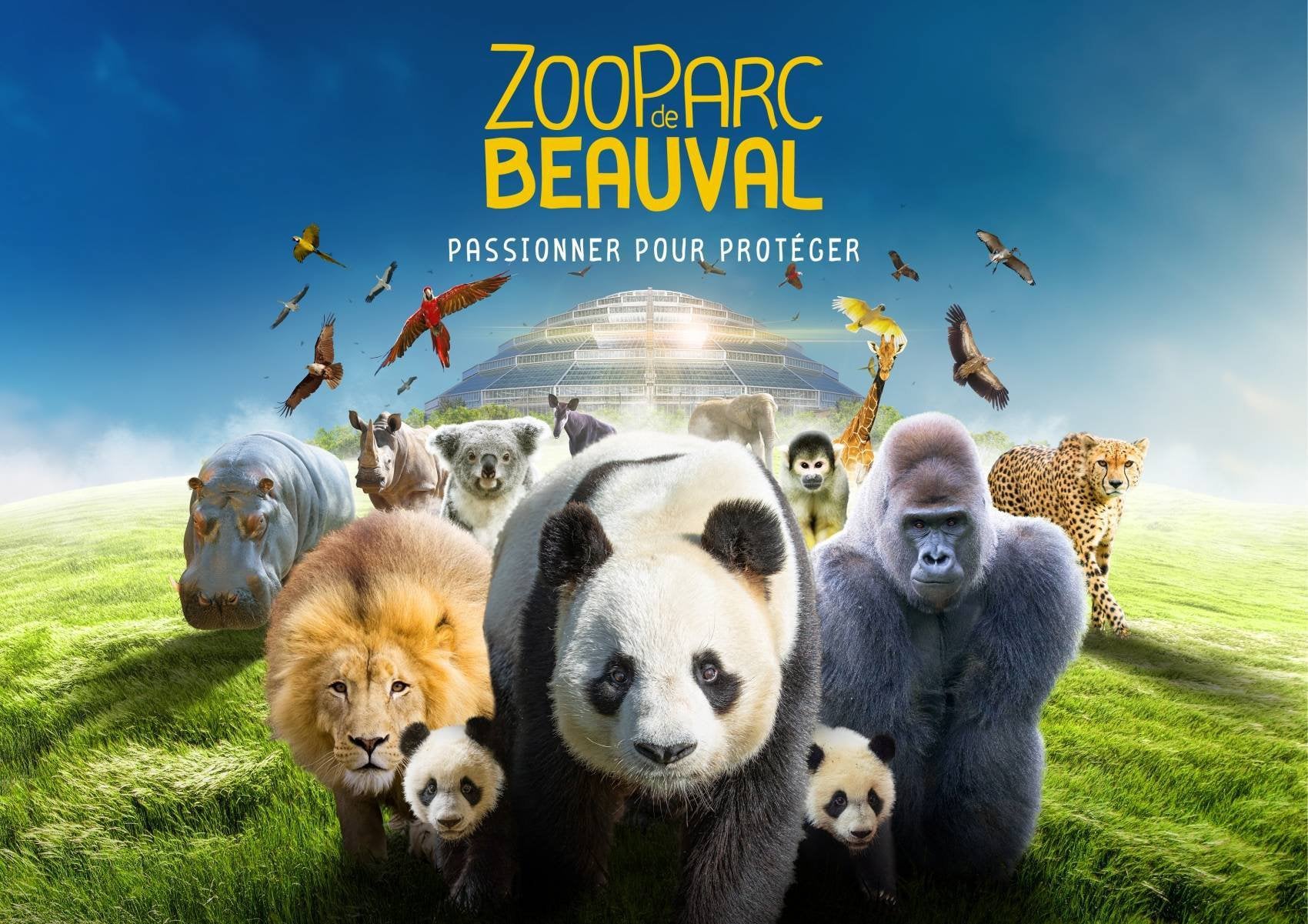 4 tickets ZooParc de Beauval (Fr) – geldig t/m 20-8-2026, Tickets en Kaartjes, Drie personen of meer, Ticket of Toegangskaart