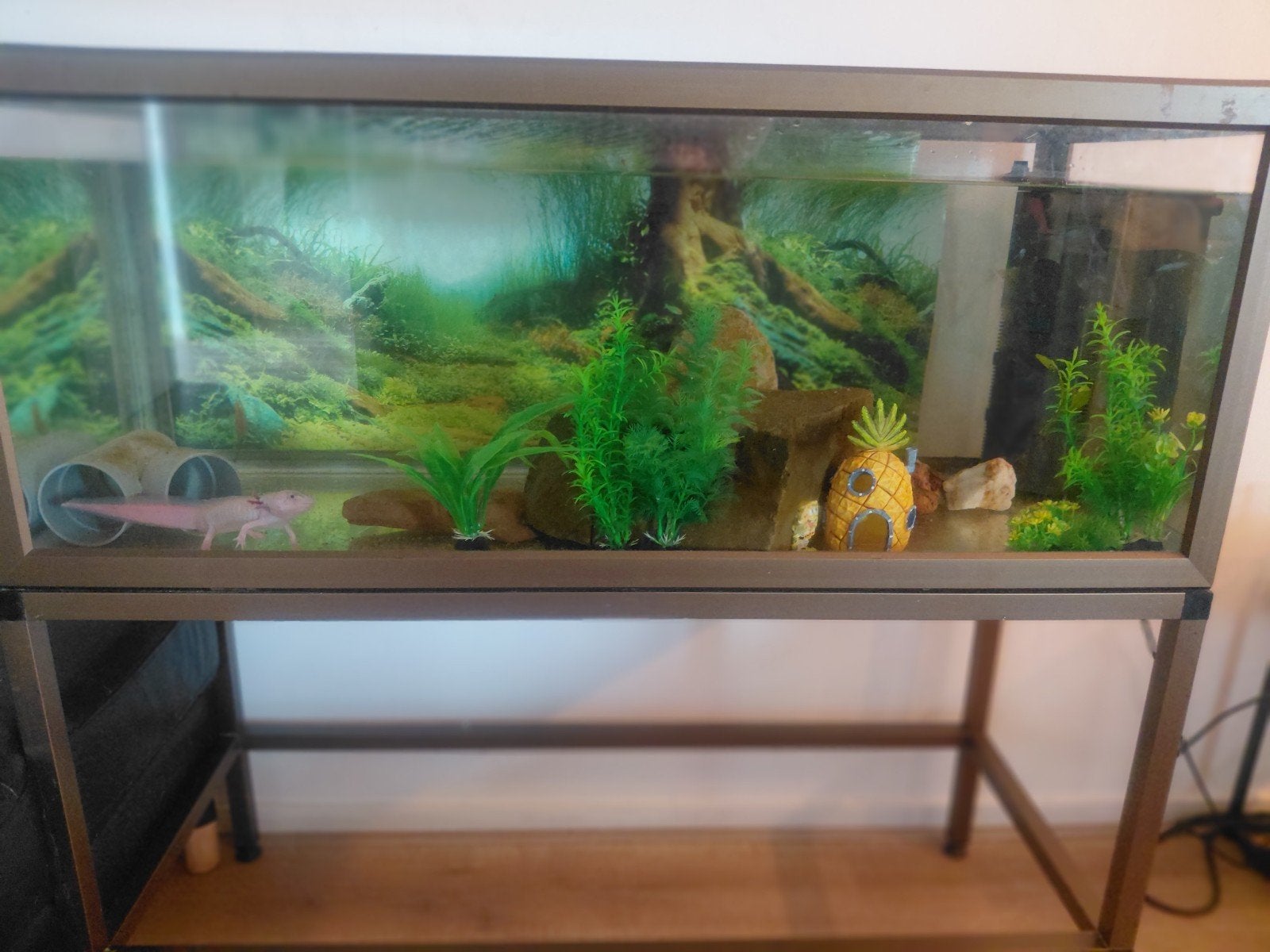 aquarium met toebehoren, Ophalen, Zo goed als nieuw, Aquariummeubel