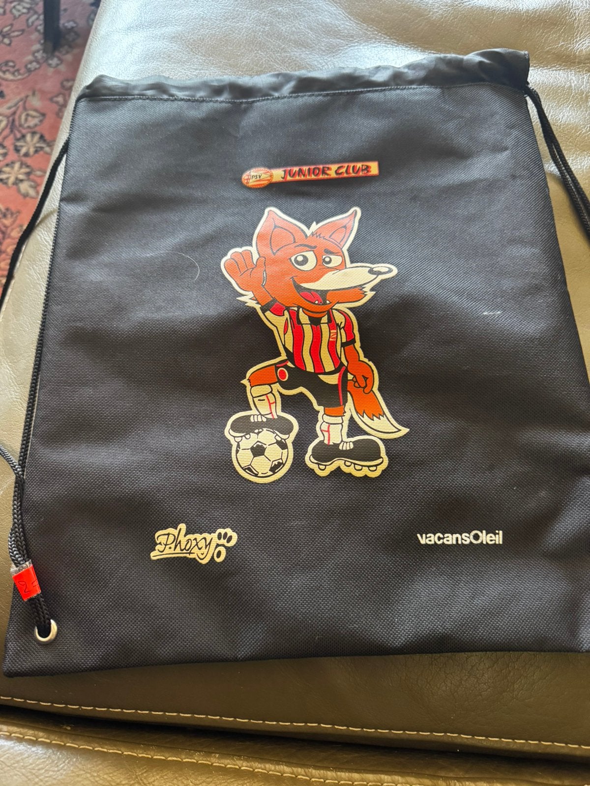Rugzak PSV logo, Ophalen of Verzenden, Zo goed als nieuw, Rugtas