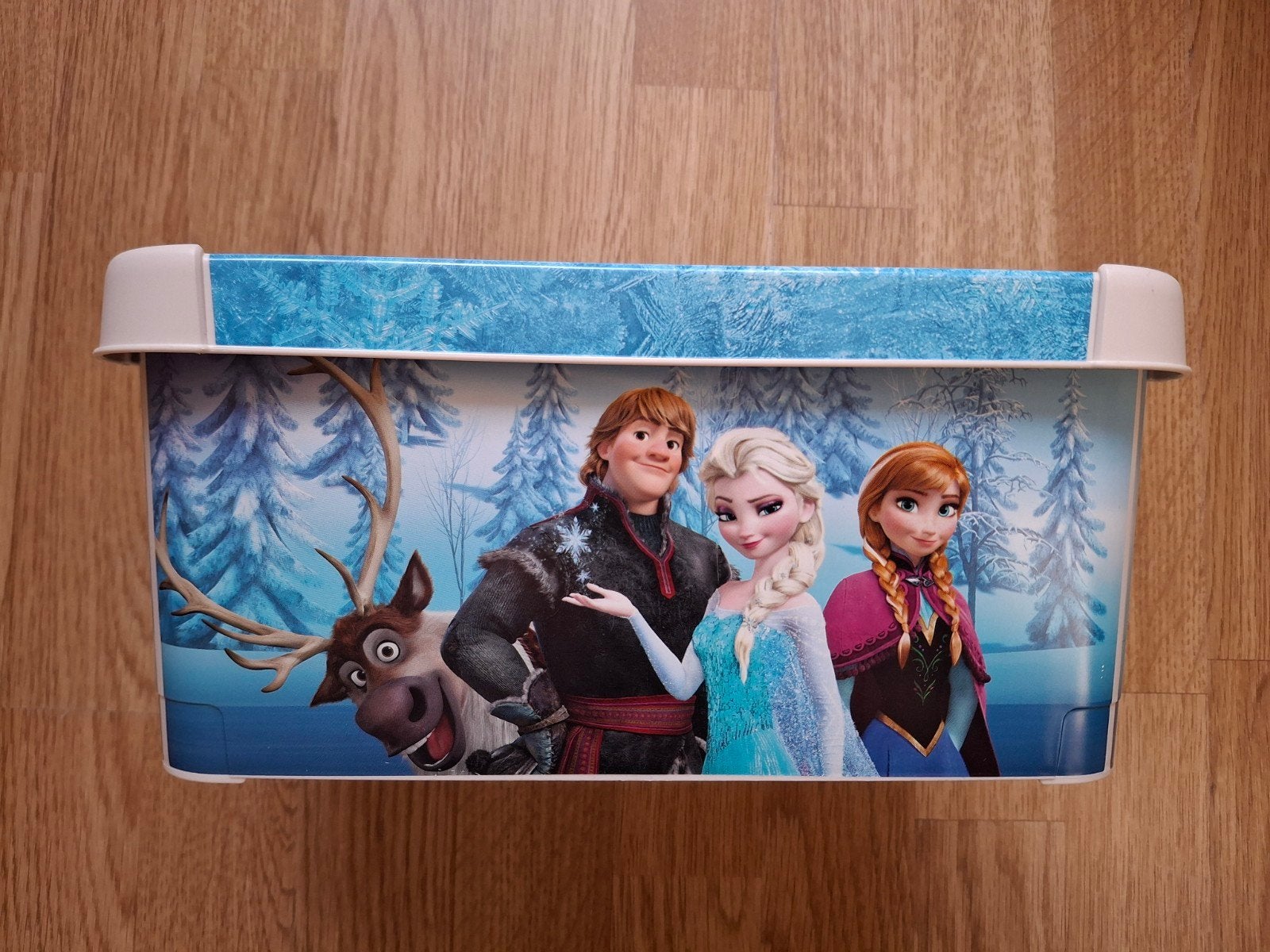 Kunststof bewaardoos van Frozen, Ophalen of Verzenden, Zo goed als nieuw